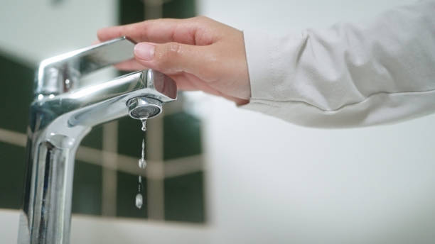 Istockphoto-2163644215-612x612