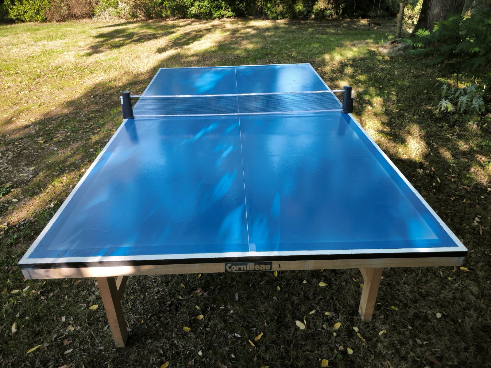 Table de Tennis de Table
