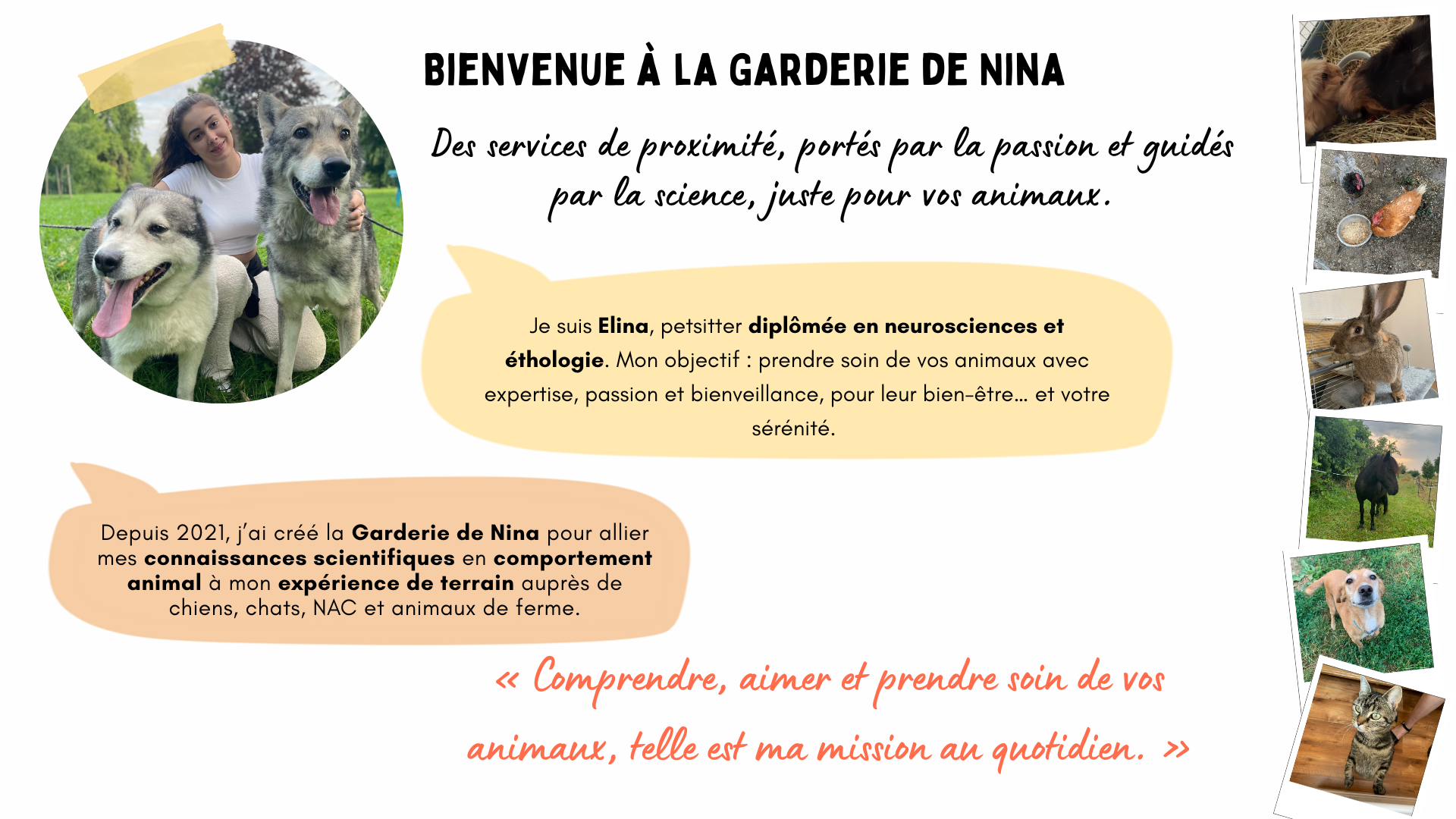 Acceuil-page-1-3
