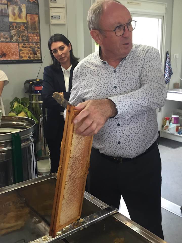 540768872 31015921001355700 5651939978419242551 n