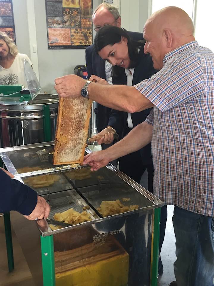 540938605 31015856278028839 4069658400286680063 n