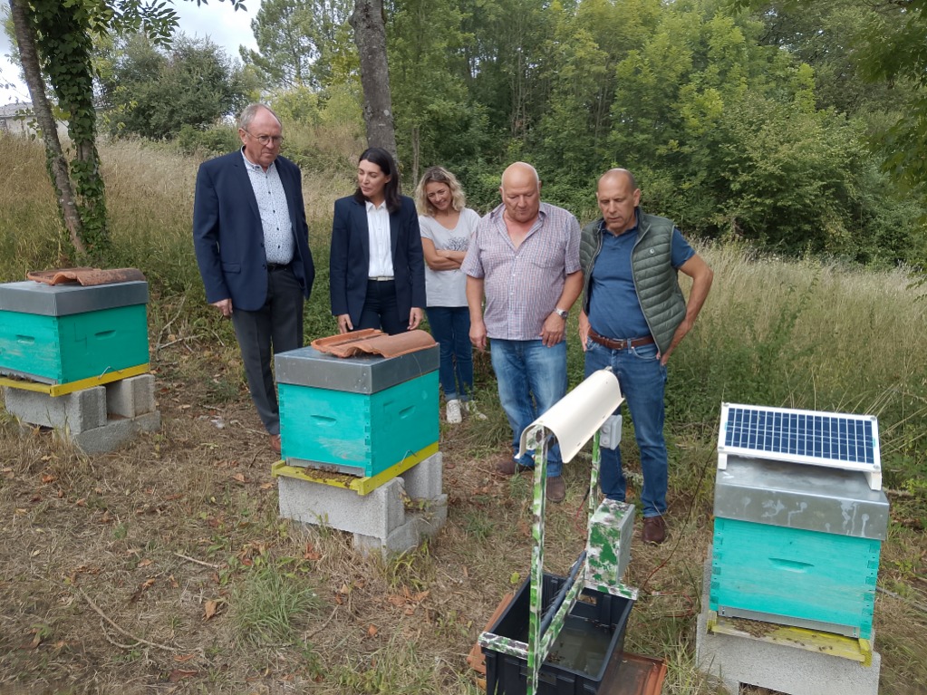 540470658 122292562364008127 1988856247972929372 n