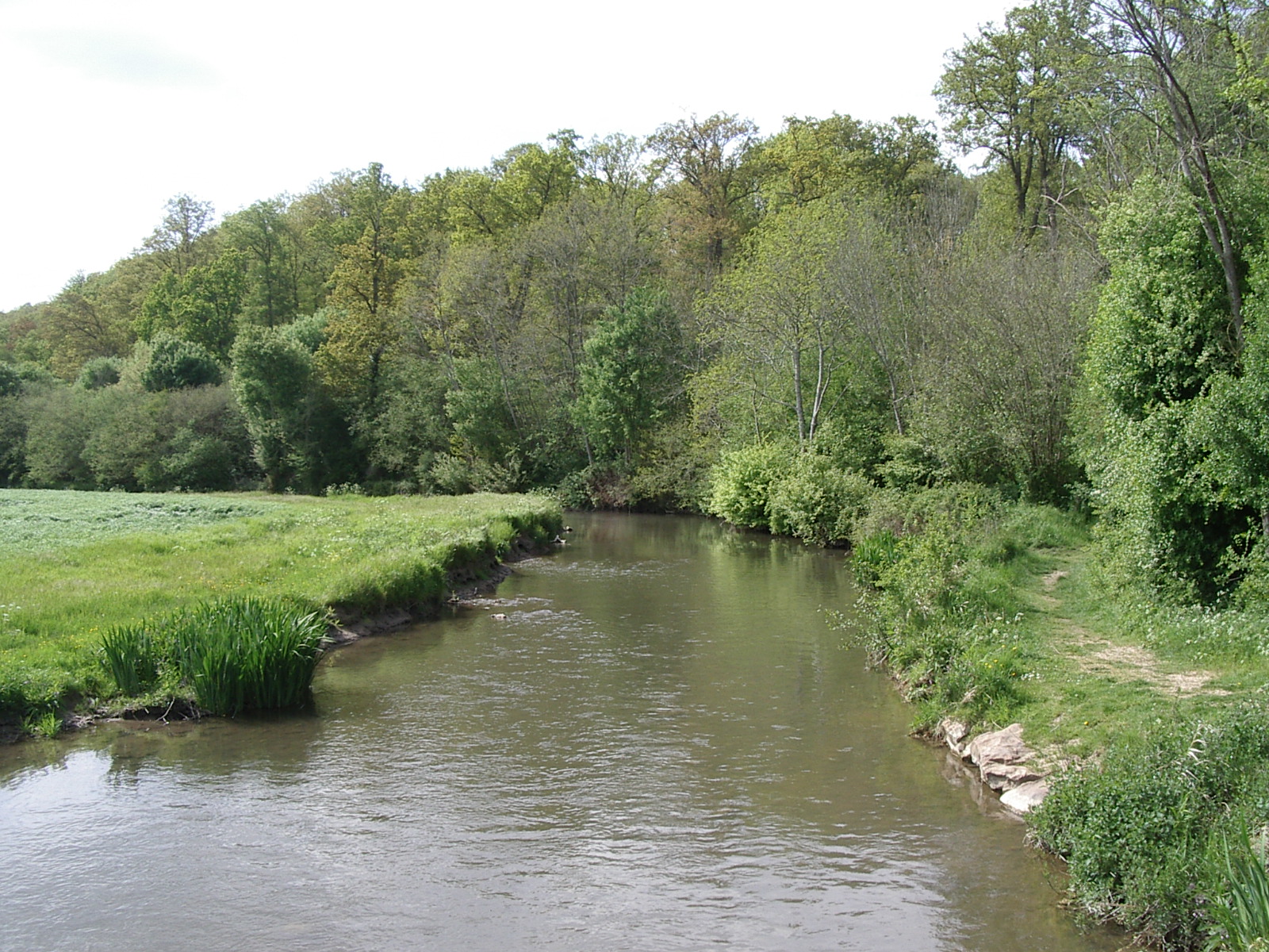 Le Noyer-en-Ouche-La Risle-1-