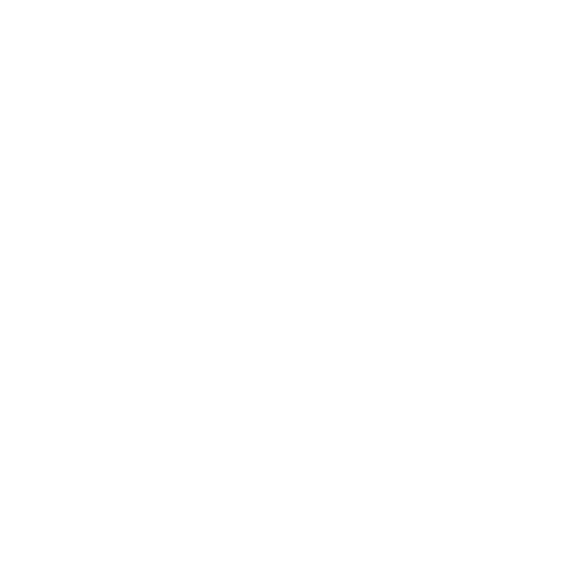 PDF w