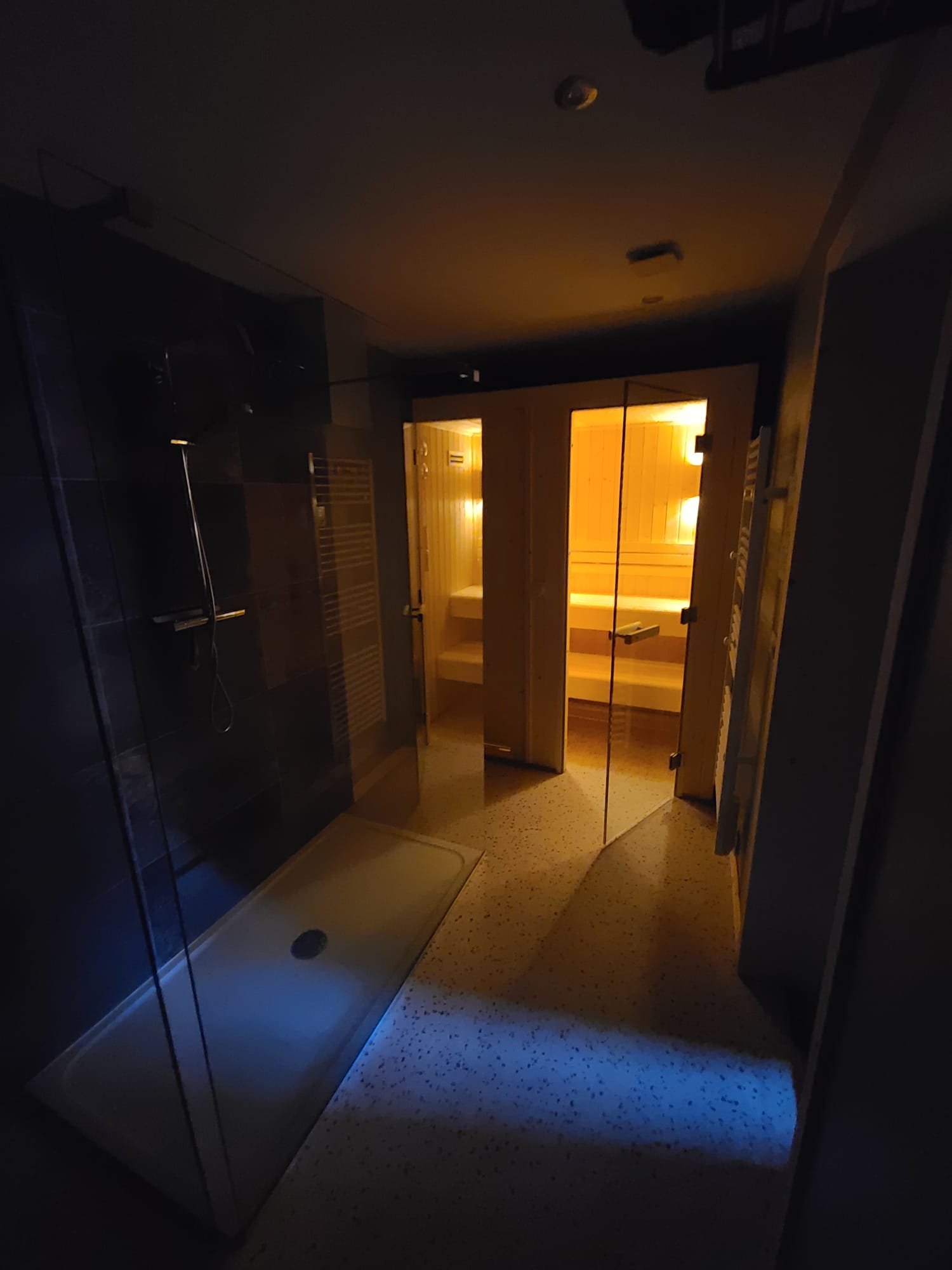 Salle sauna douche