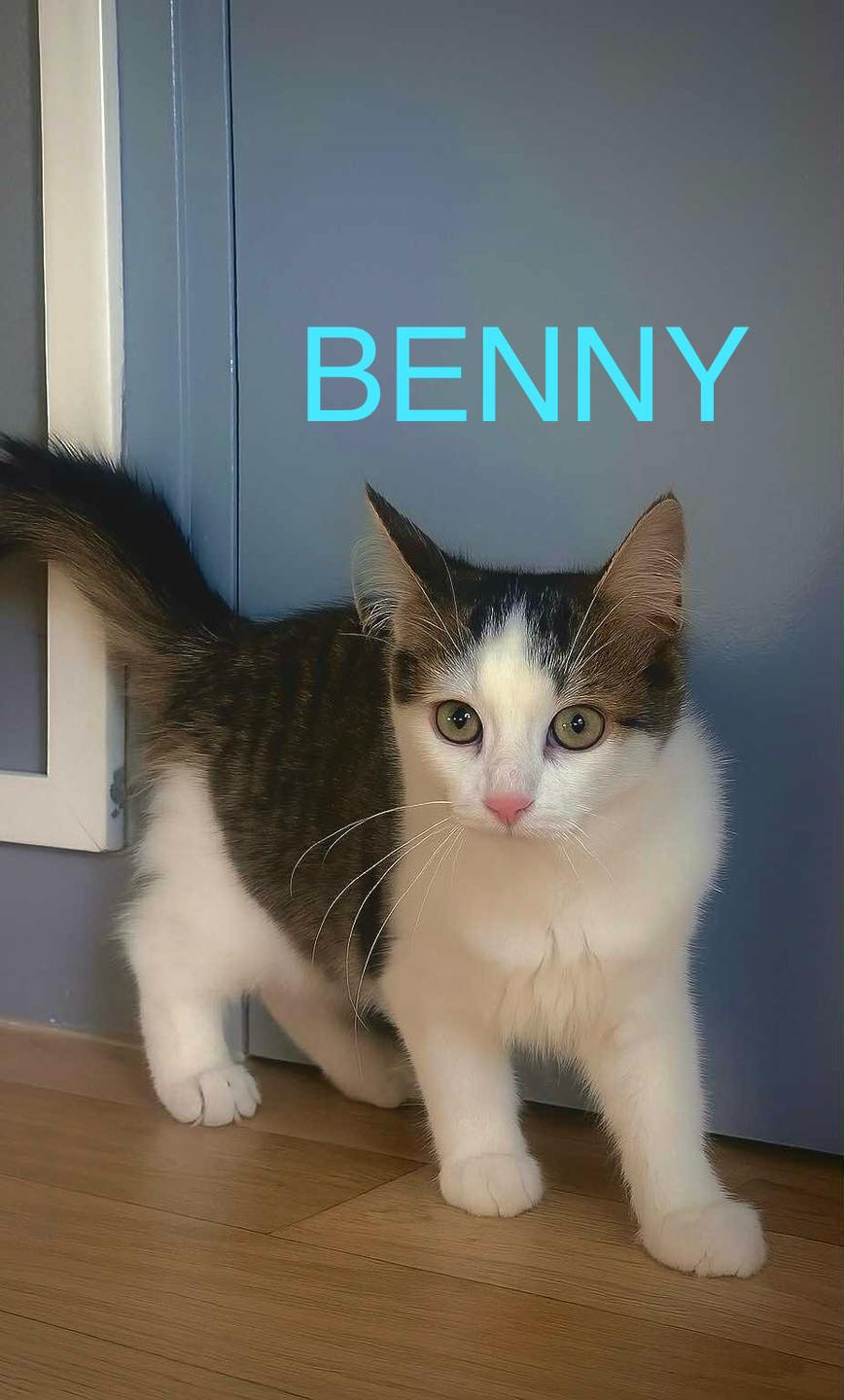 Benny