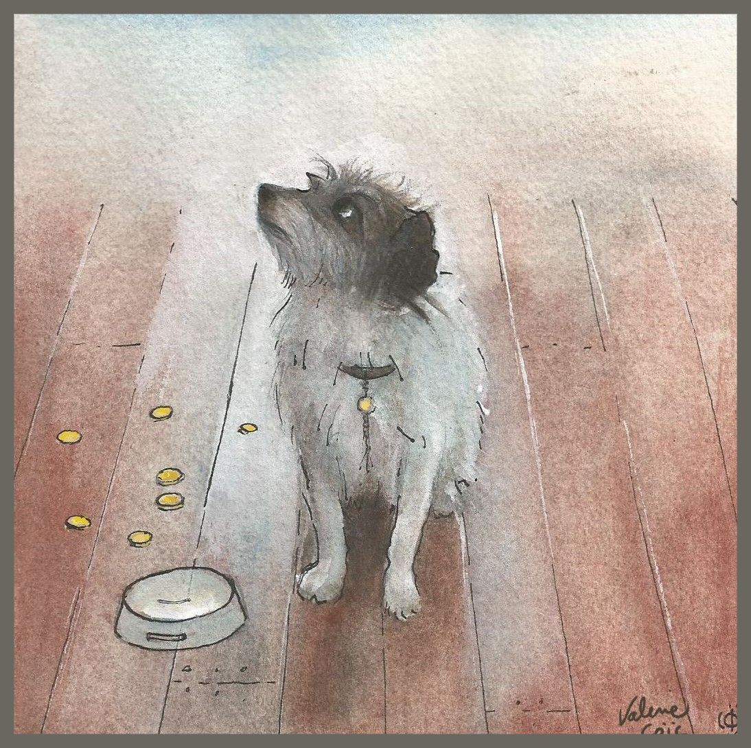 Caline-mendiante-cadre-gris