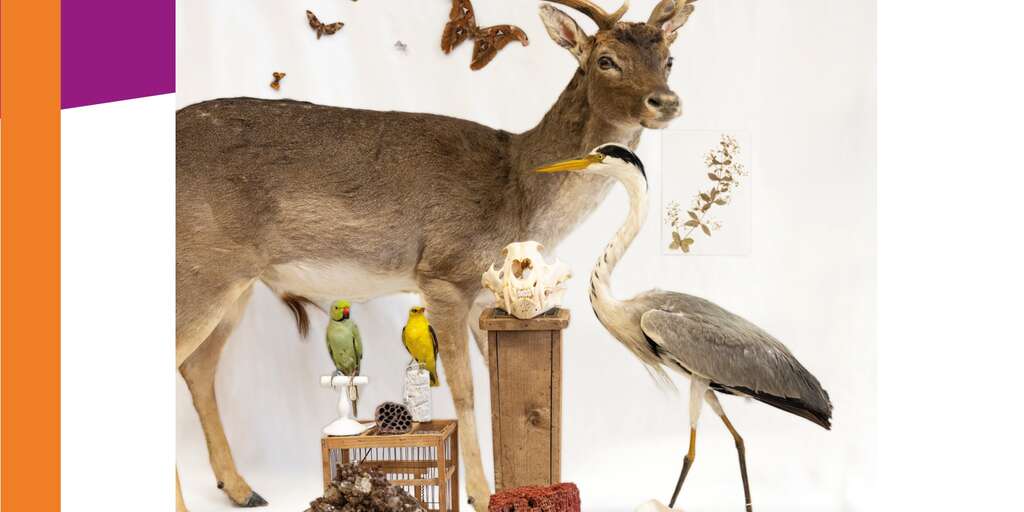 Museum requien sort de ses murs