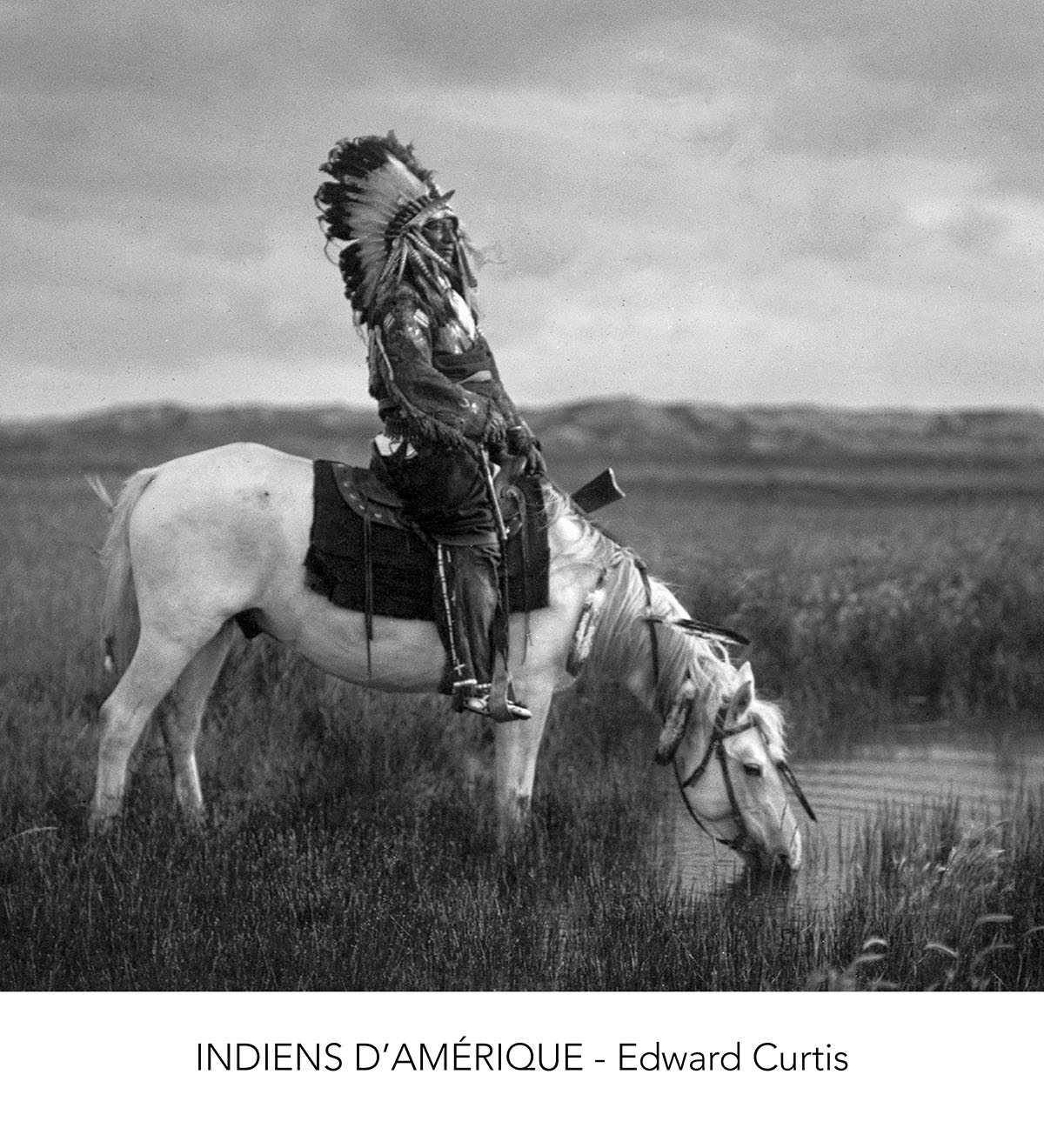 Chef indien portant une coiffe traditionnelle, assis sur un cheval blanc au bord d’une mare, dans une prairie, photographié par Edward Curtis au début du XXᵉ siècle