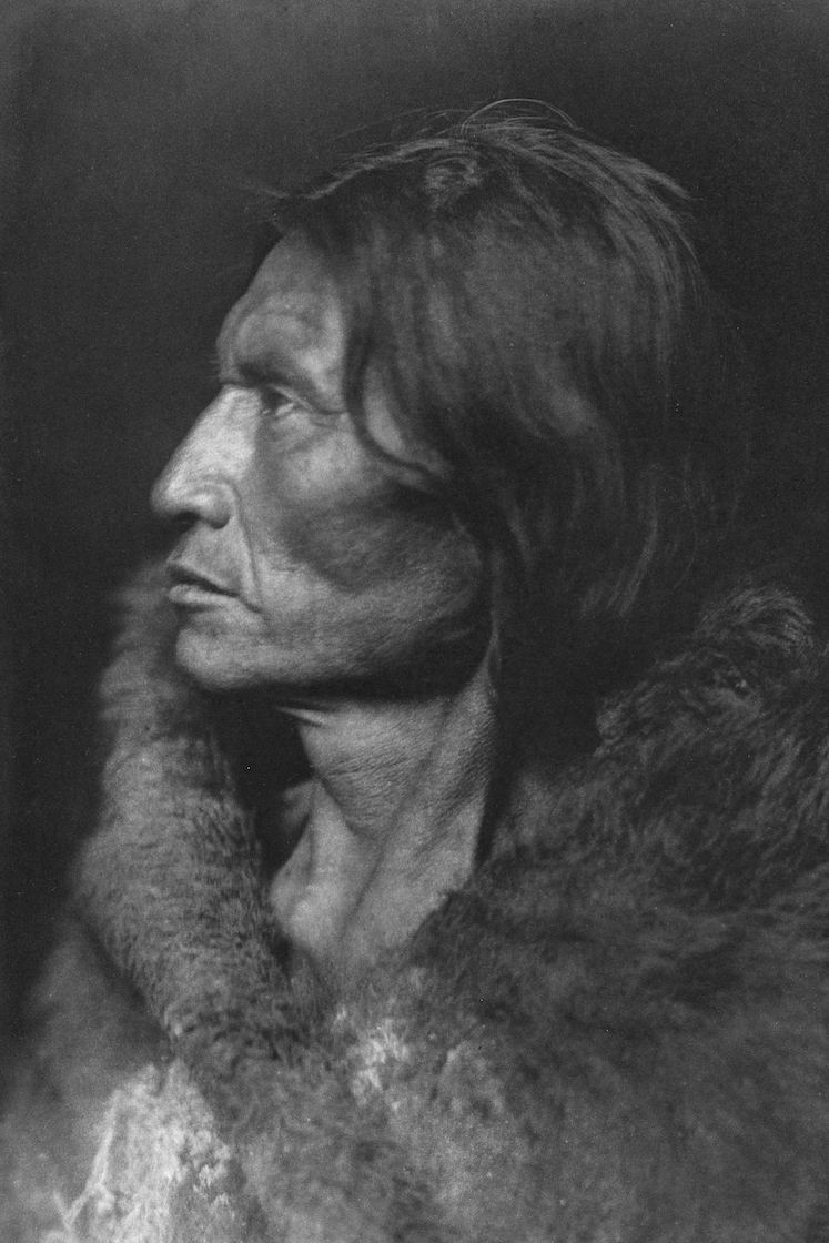 Indiens curtis assiniboine