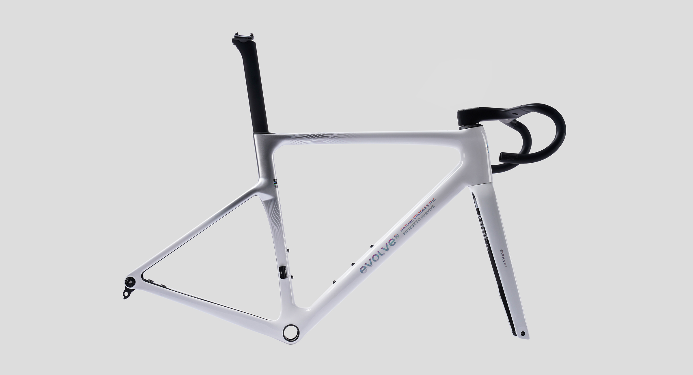 Cima special edition billow2 1