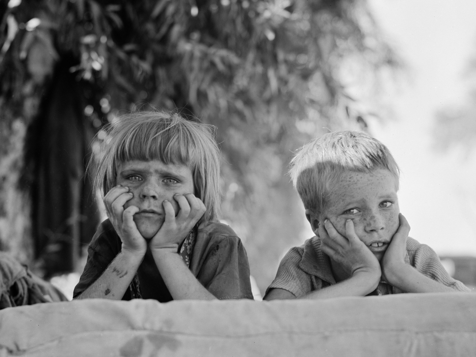 Dorothea lange expo 12