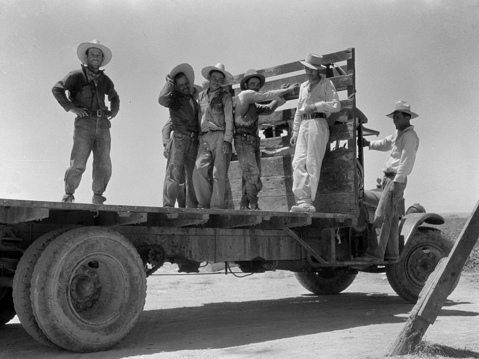 Dorothea lange expo 7