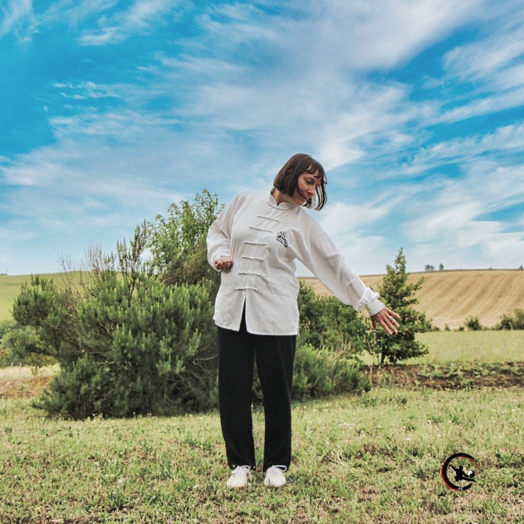 Cours qigong taichi bourgoin ruy maubec artdumieuxetre ame
