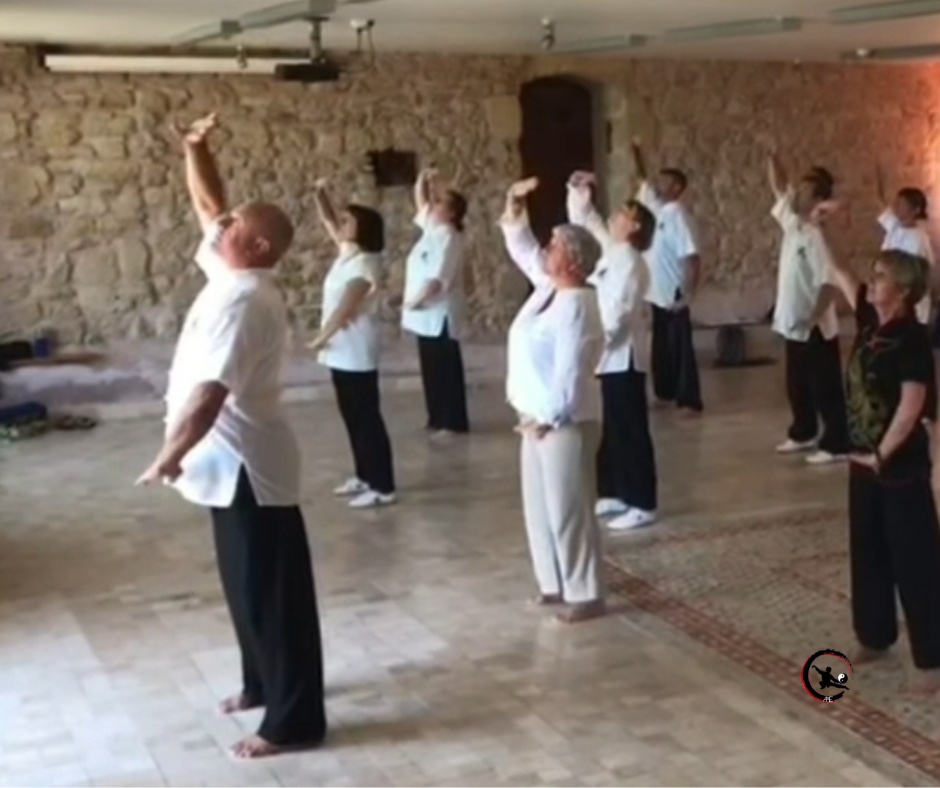 Formation qigong taichi artdumieuxetre adeline viviant