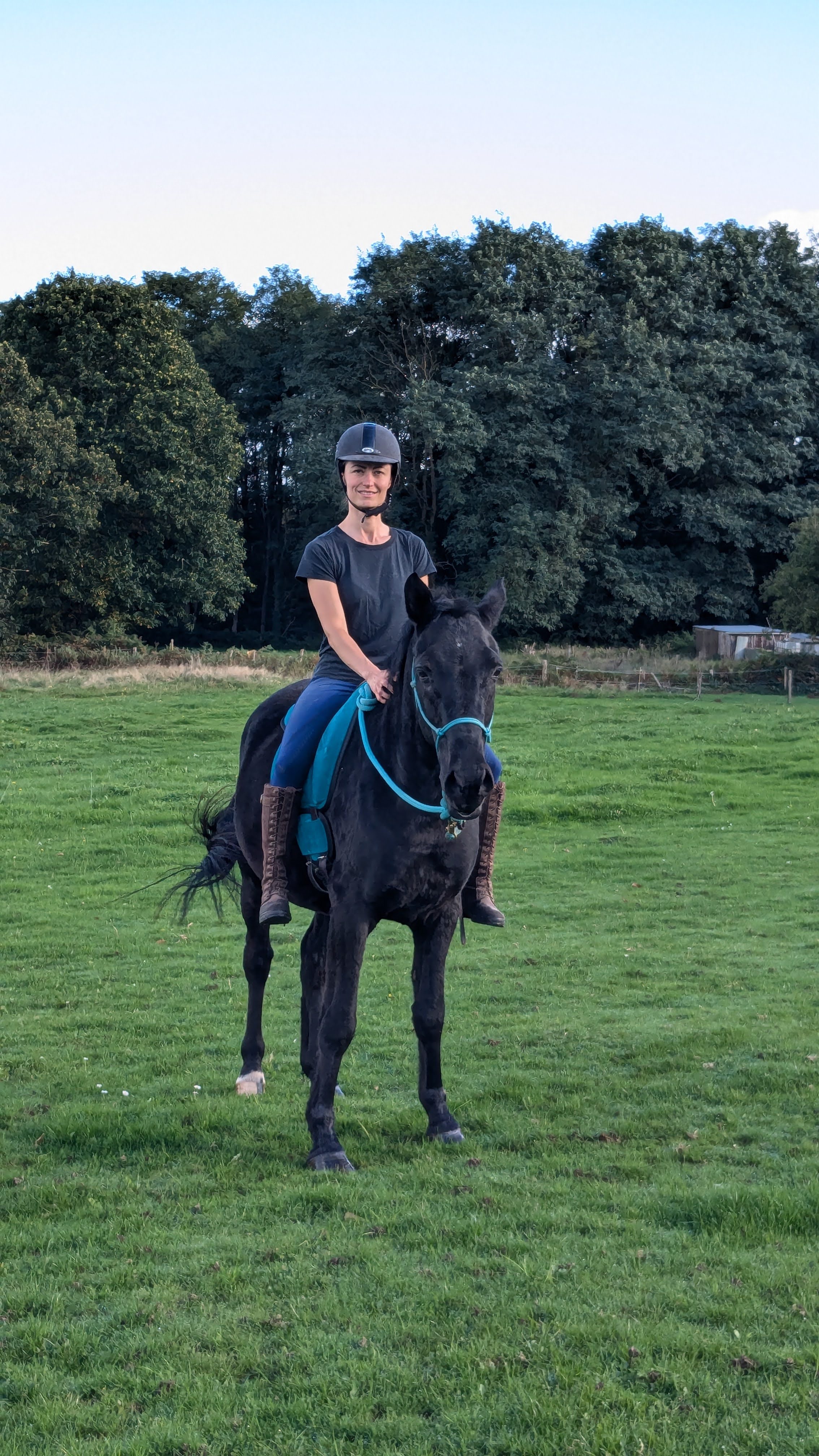 Morgane-jango