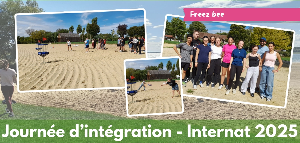 Integration 2025 5 sfdstroyes