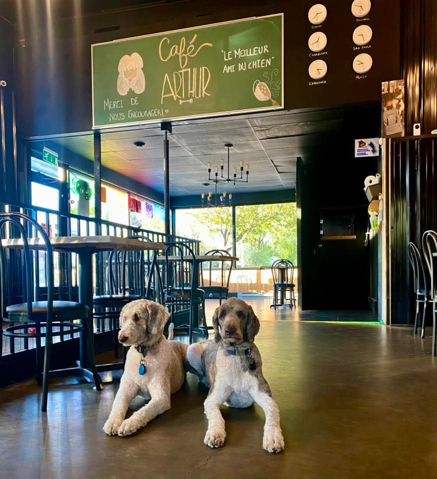 Cafe-arthur