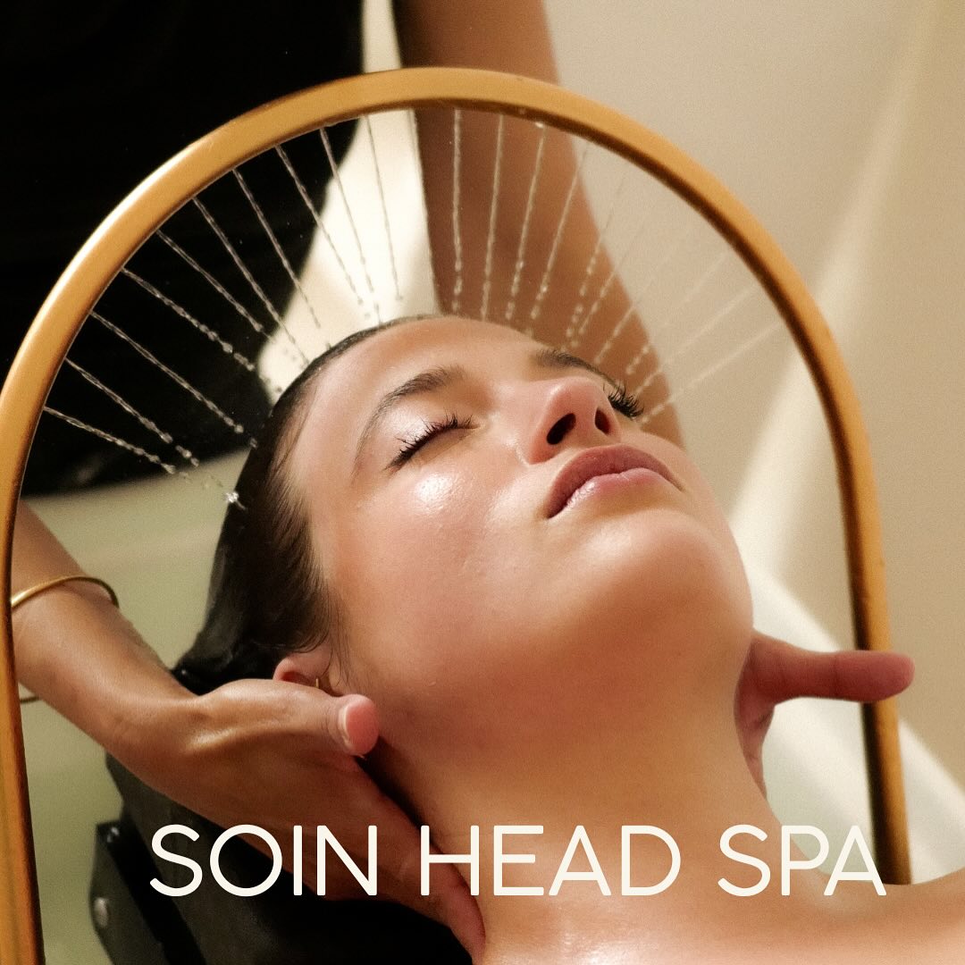 504815685 17981812724839847 1173090295970655179 n