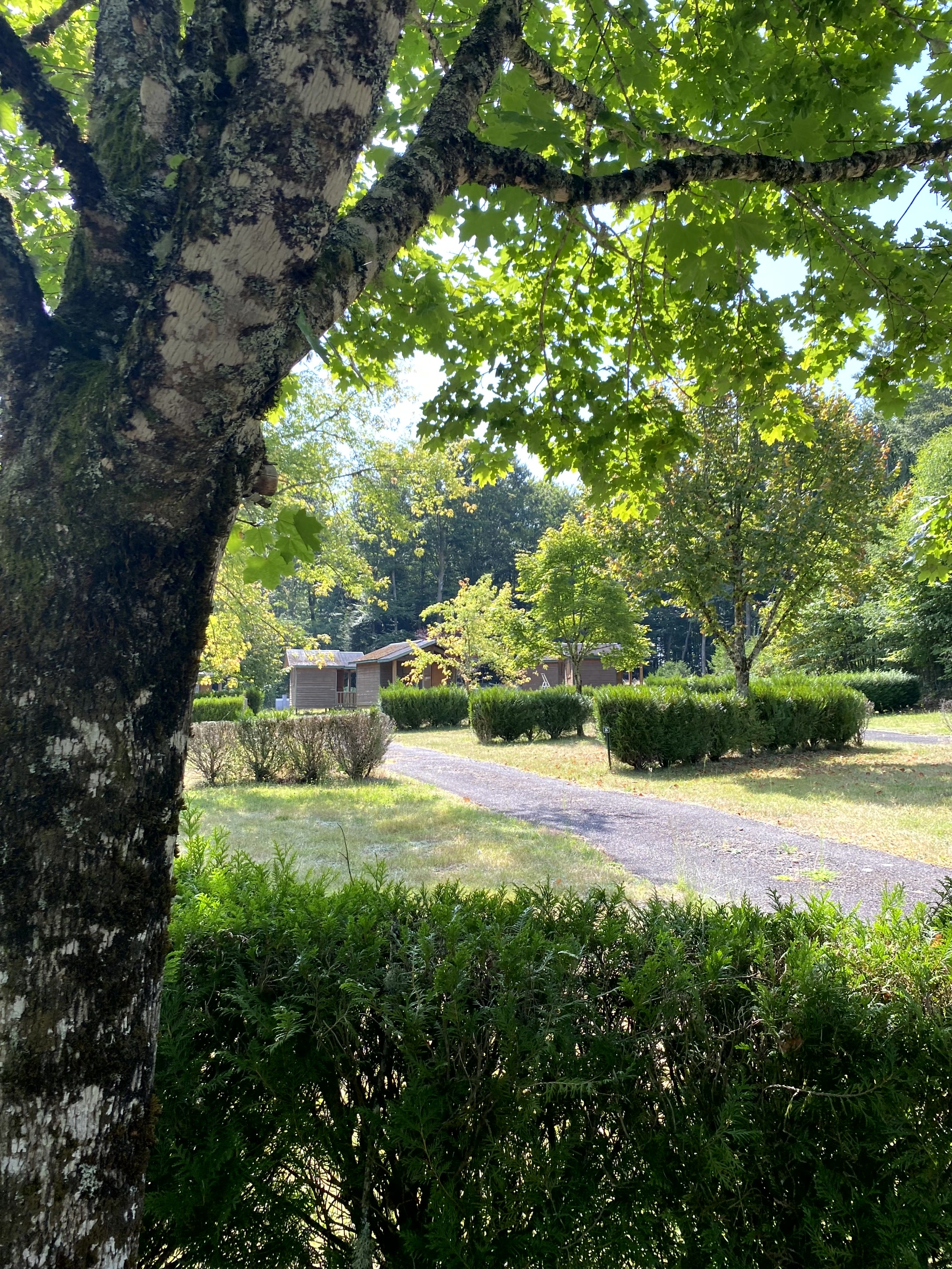 Emplecement5 camping saint martin la meanne correze