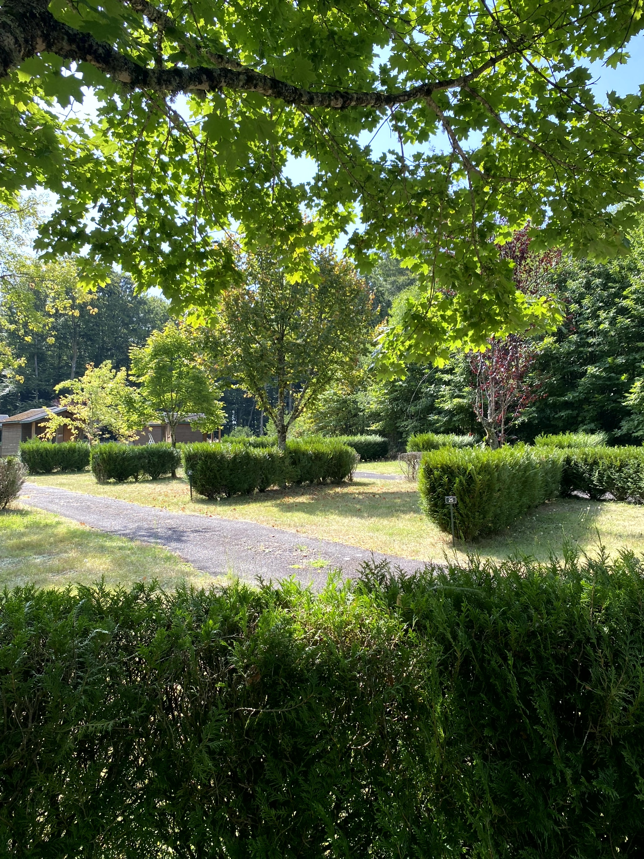 Emplacement6 camping saint martin la meanne correze