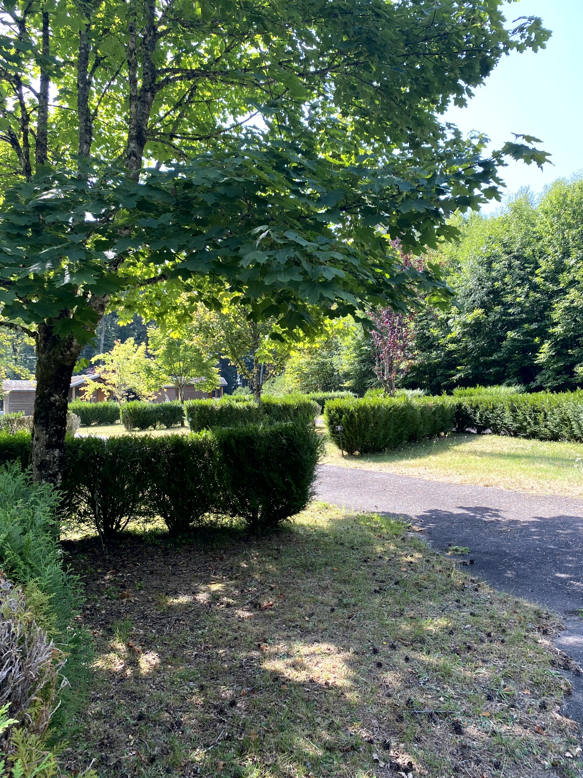 Emplacement4 camping saint martin la meanne correze