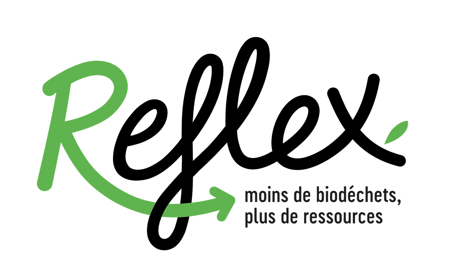 Reflex base line rogne-4242661208
