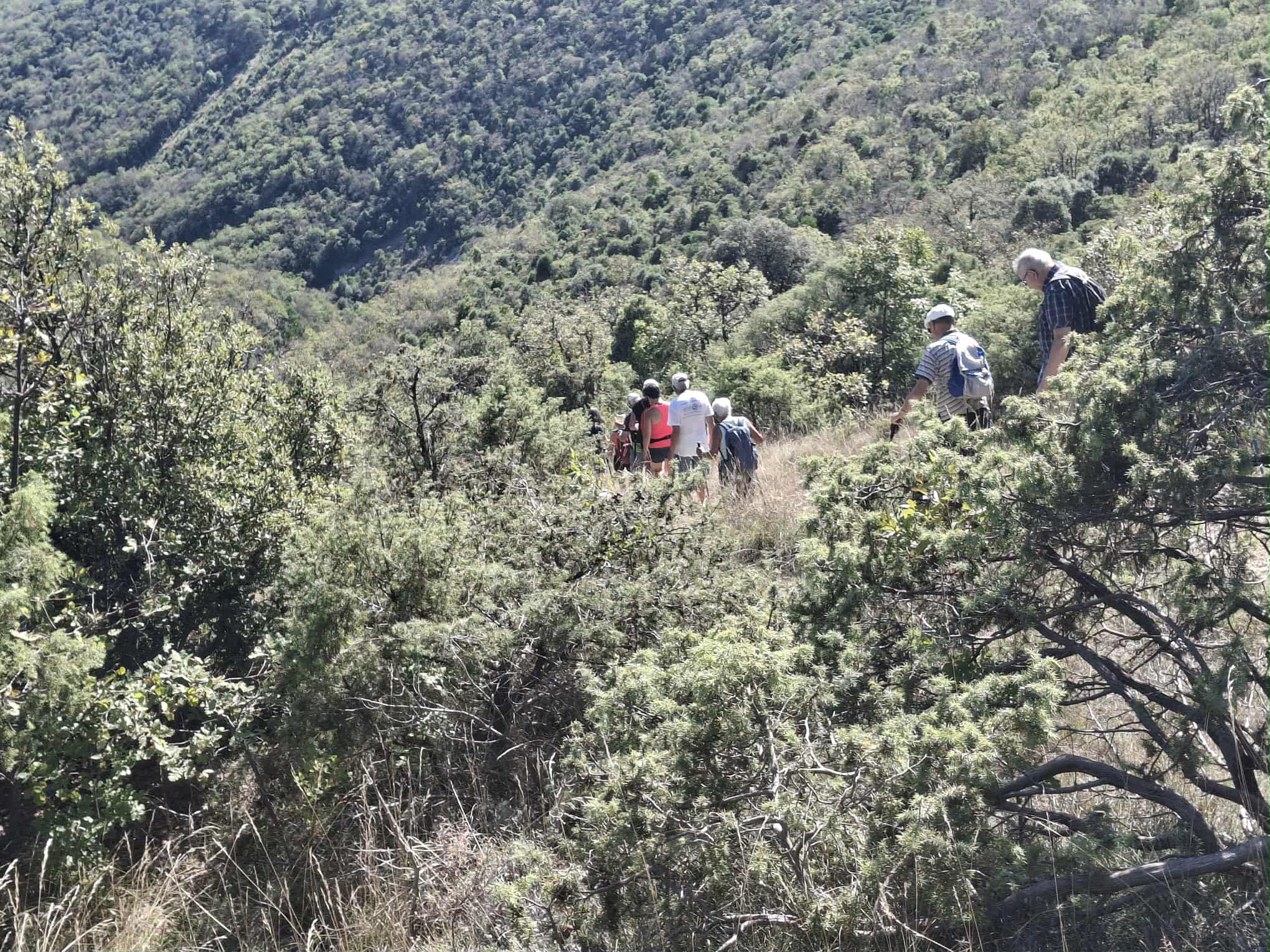 Messenger creation eb52adb7 495f 4f64 b961 817e7967ef8f