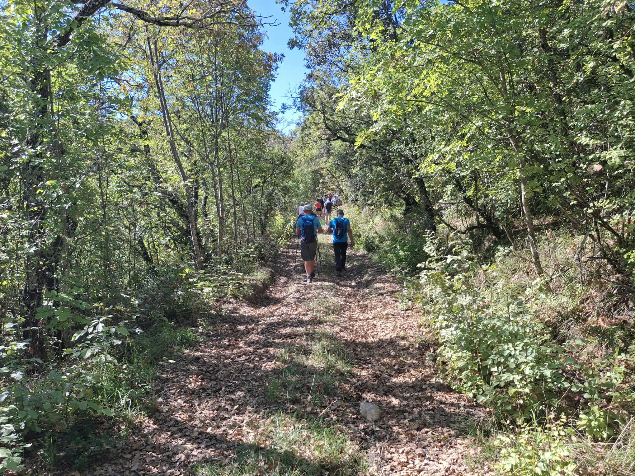 Messenger creation cdfdf59b f5eb 4dff b78c 24371ace465b