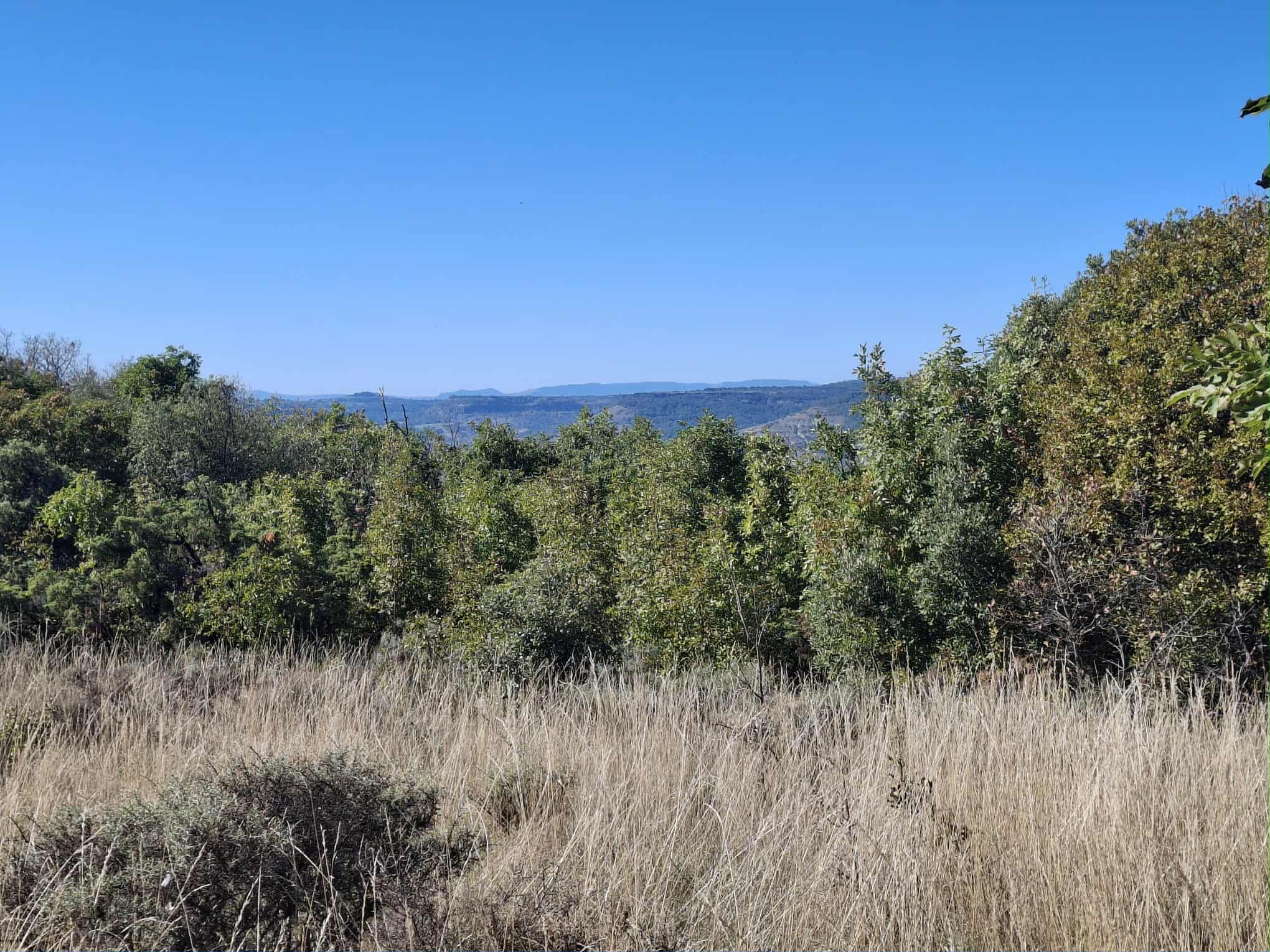 Messenger creation b98544c6 ccd4 4e8e 847b 7e38c114a897