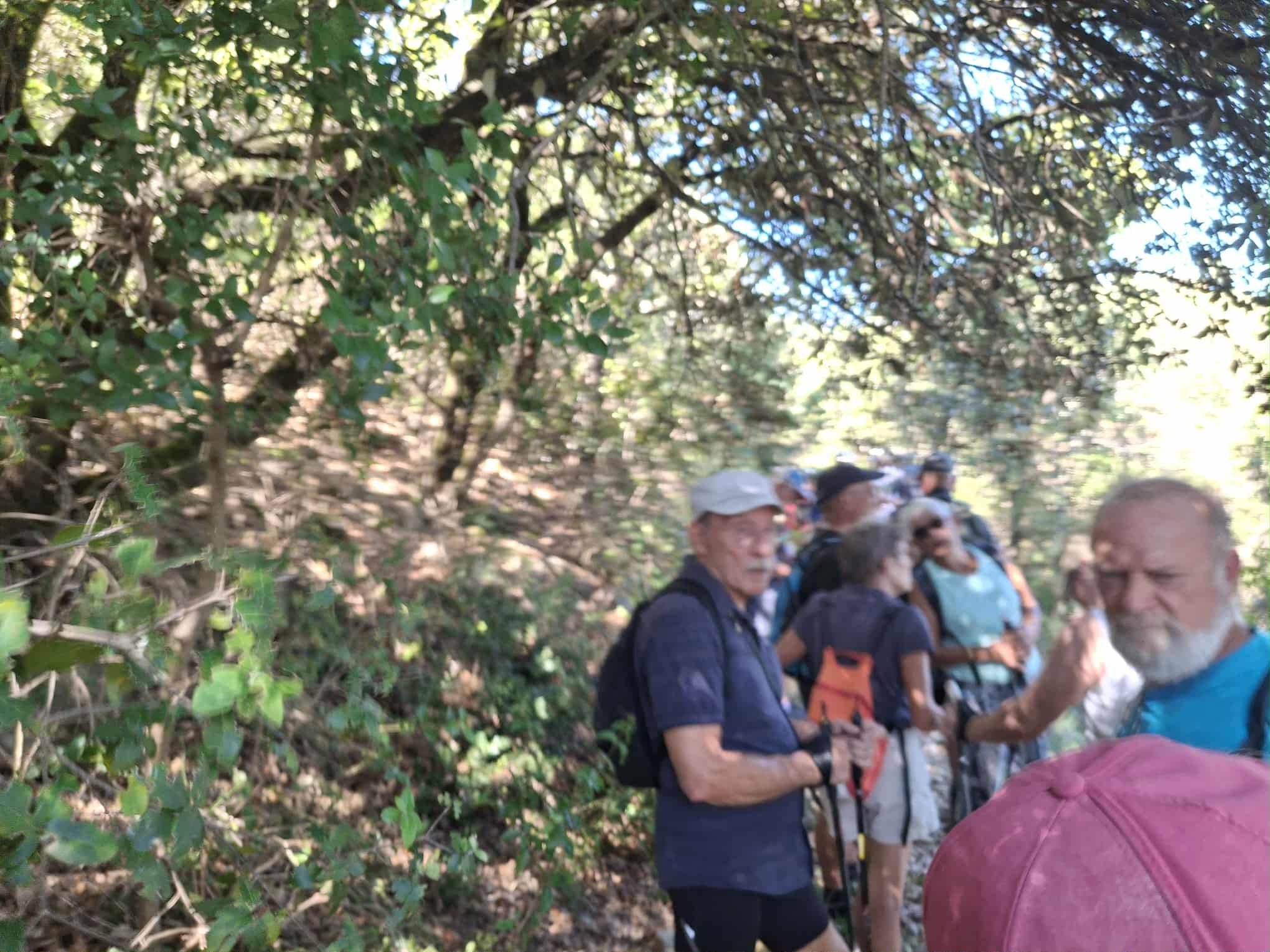 Messenger creation 2243489d 35d4 4c40 9d81 f484fa290446