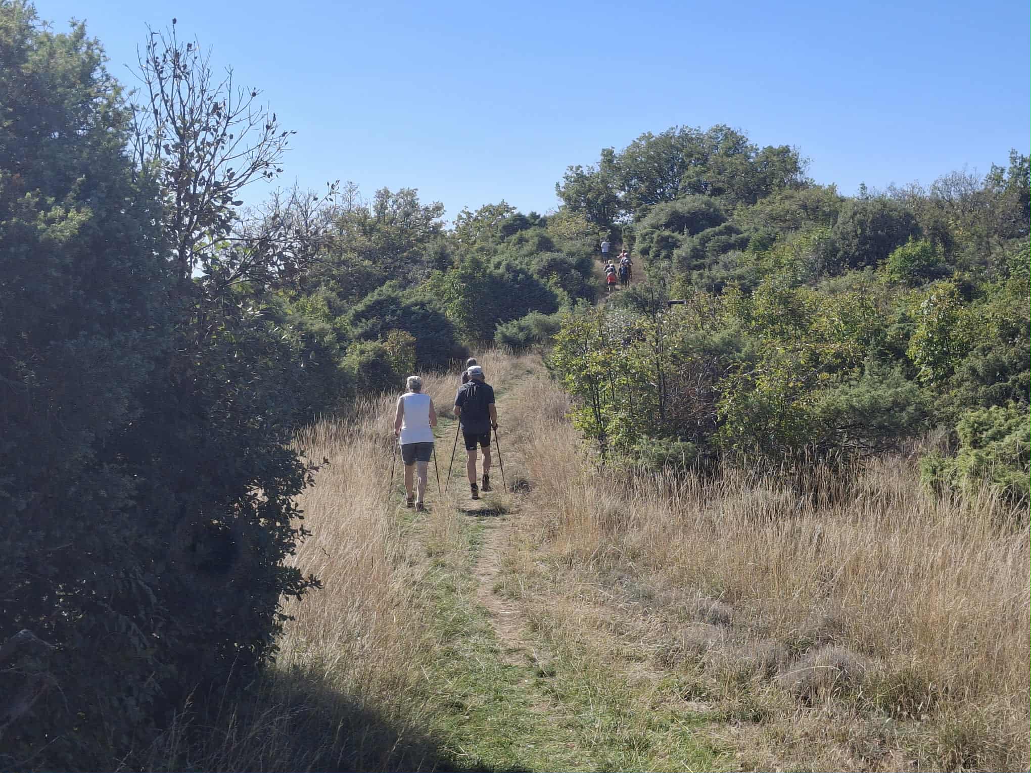 Messenger creation 8343a5c6 53a8 4739 af0e c767a129b3e7