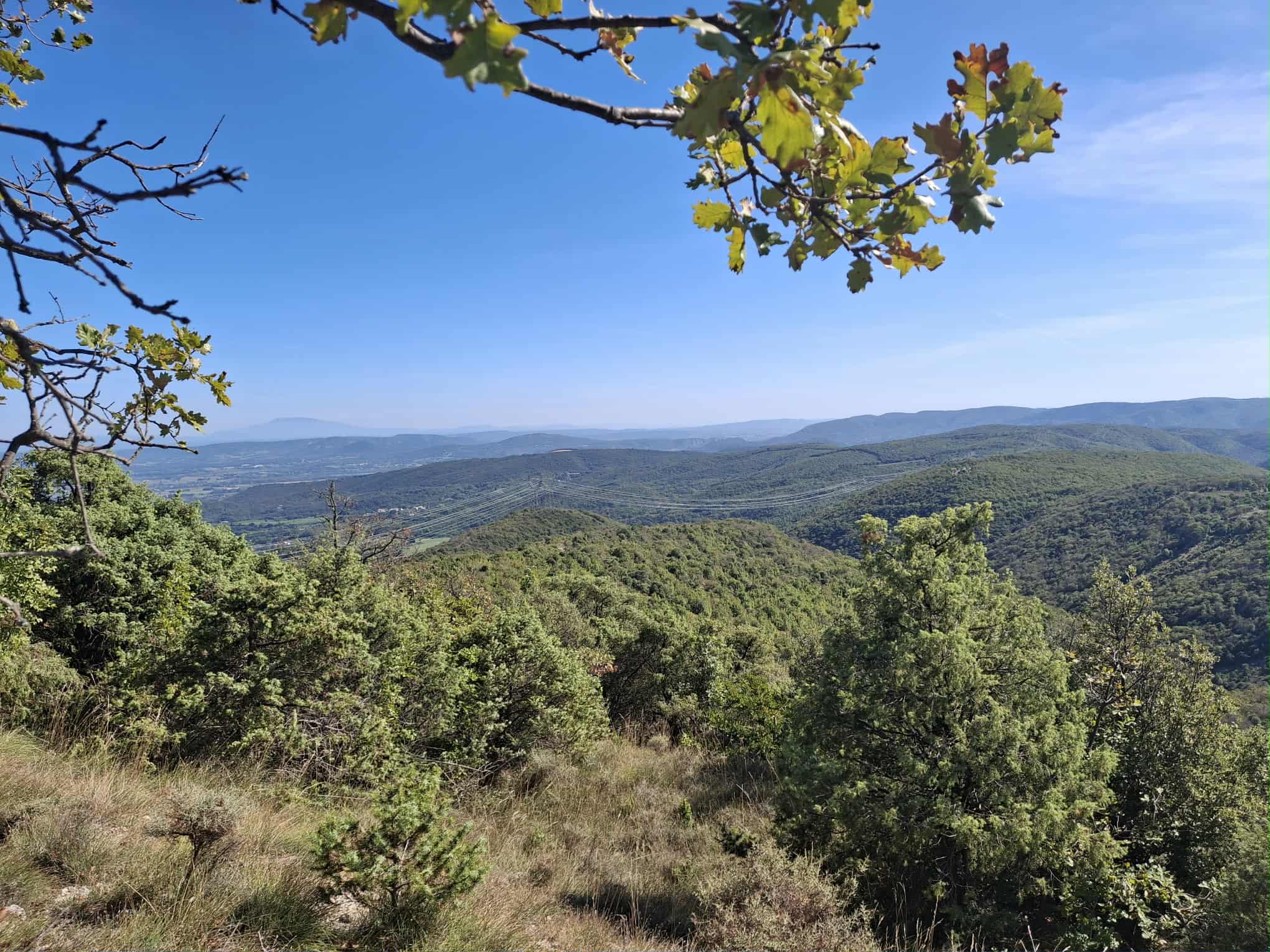 Messenger creation 745c0e1b c786 4e95 b190 24d90b0d16e2