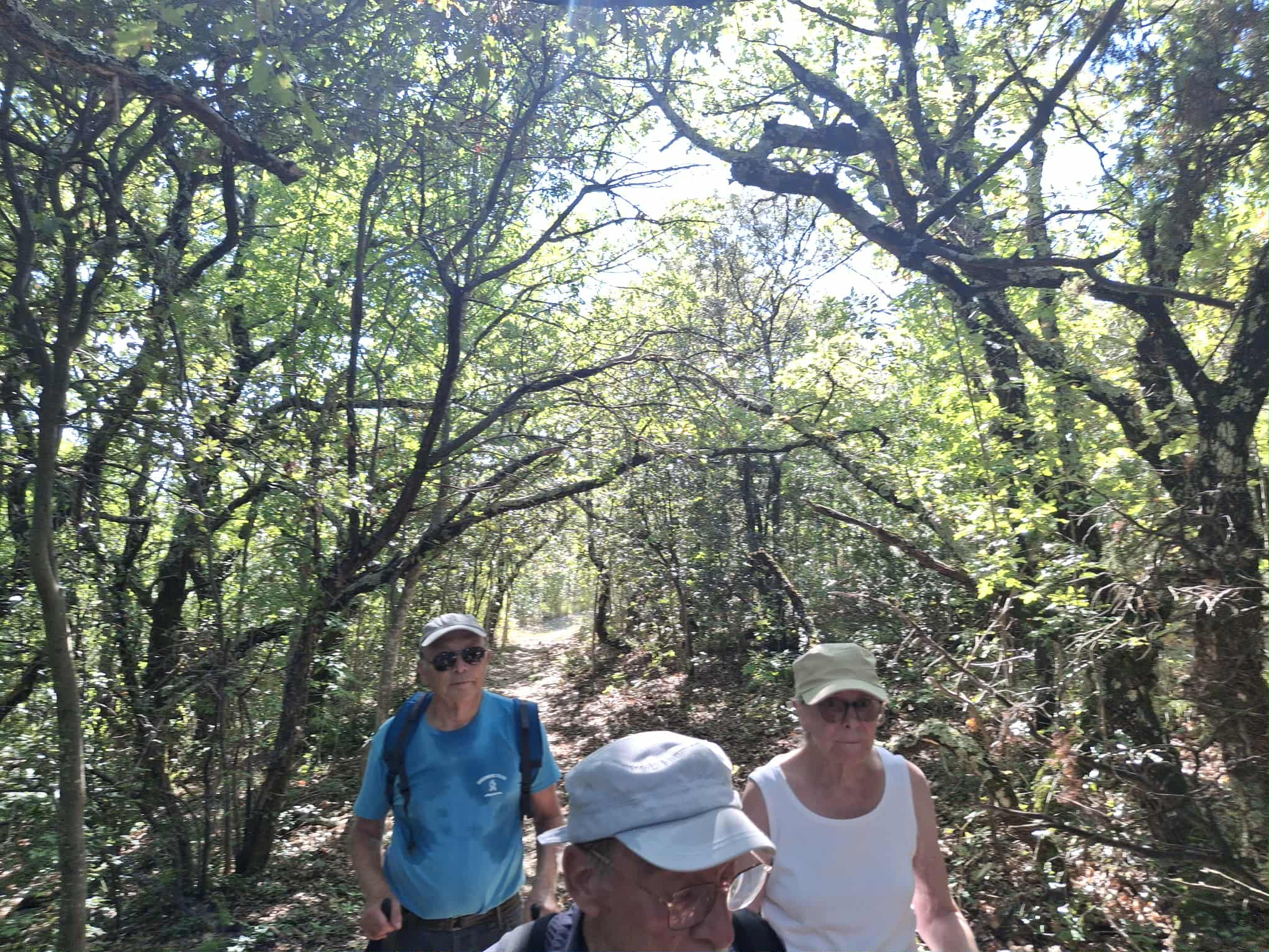 Messenger creation 95da6ecd 8e78 4a96 91fe 885b82823eec