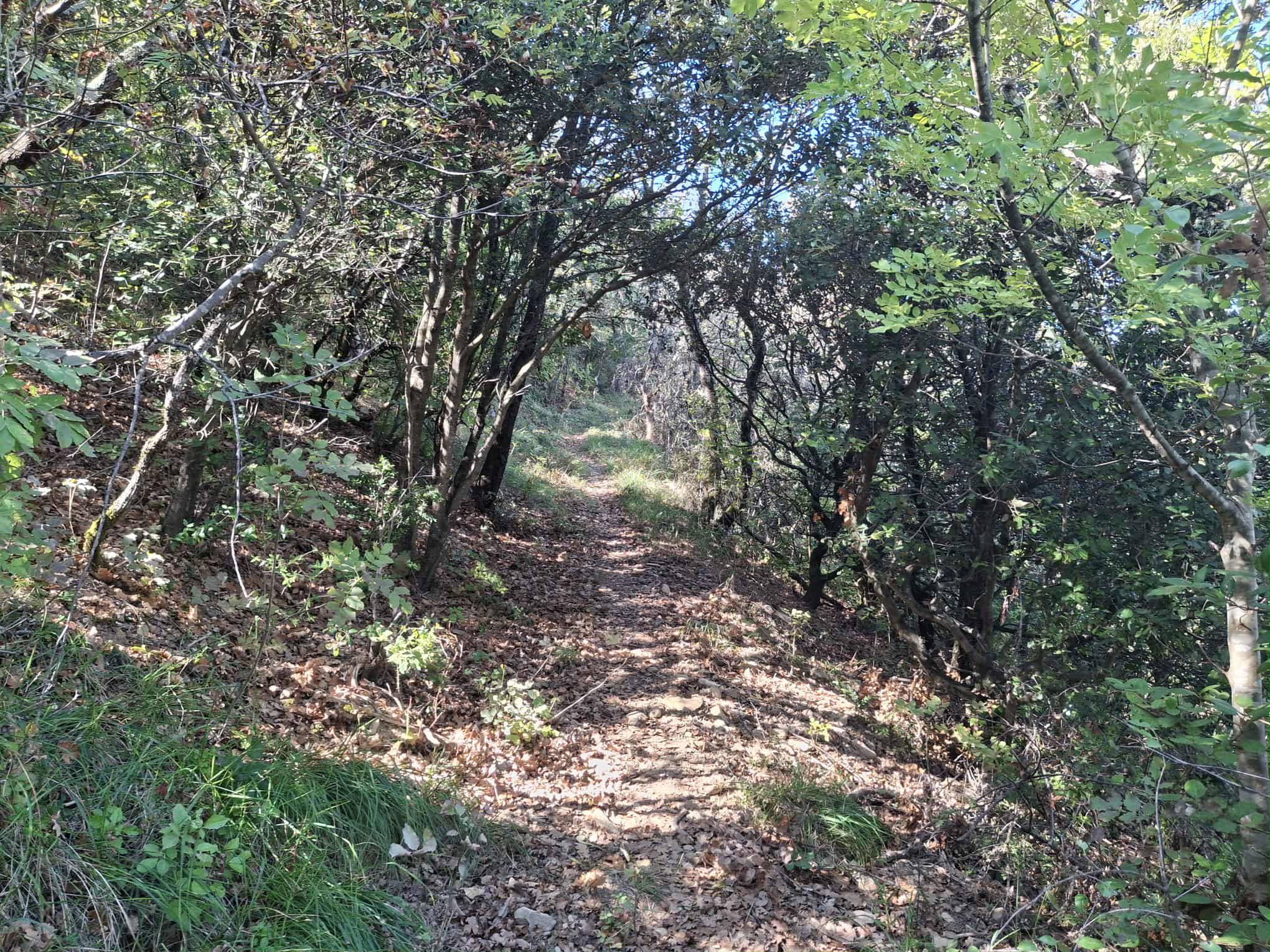 Messenger creation 9e514801 0609 4388 9ee1 fd4078ae1579