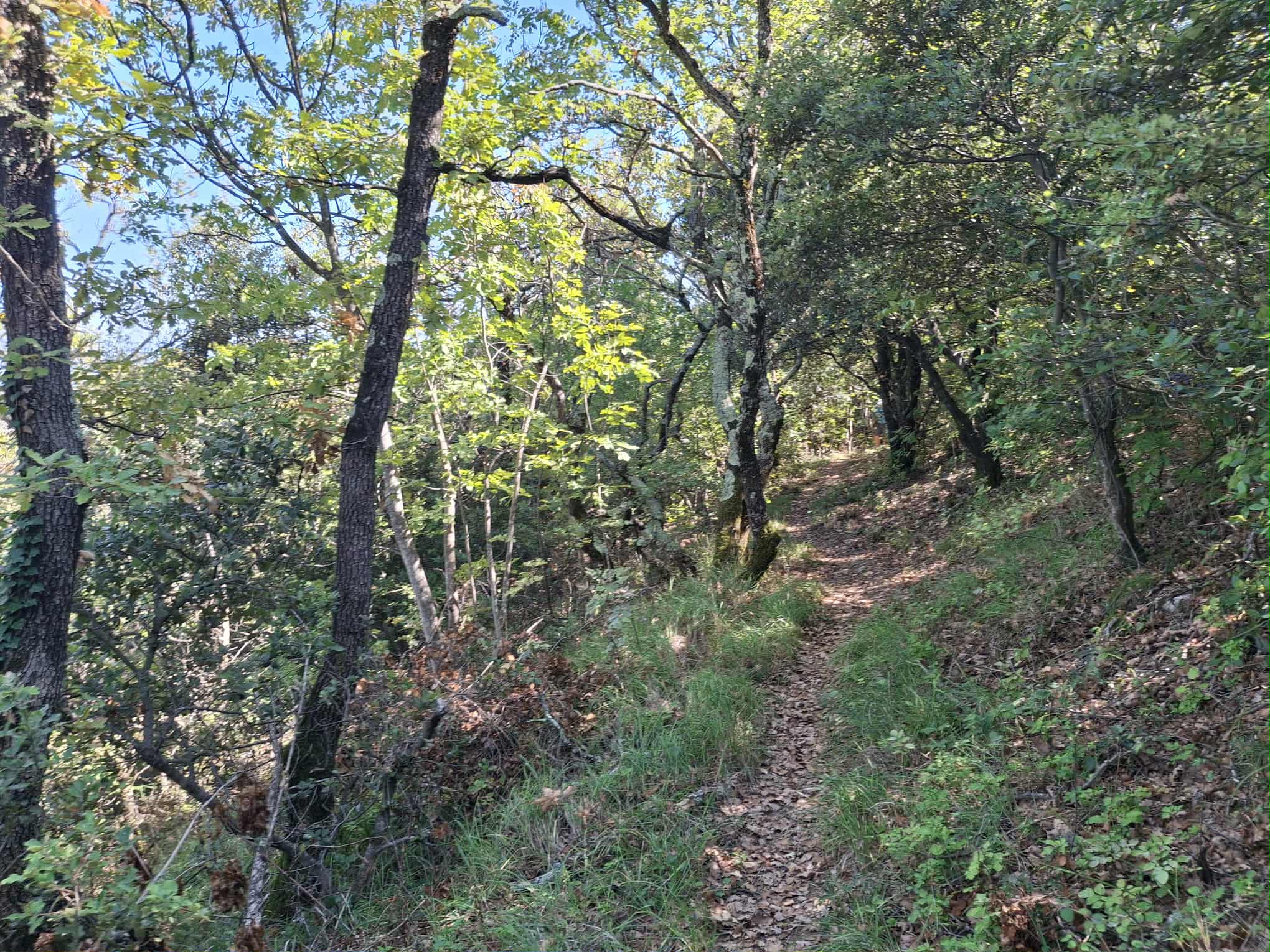 Messenger creation 7daa5d84 df71 4387 8534 4f35b32cc4b9