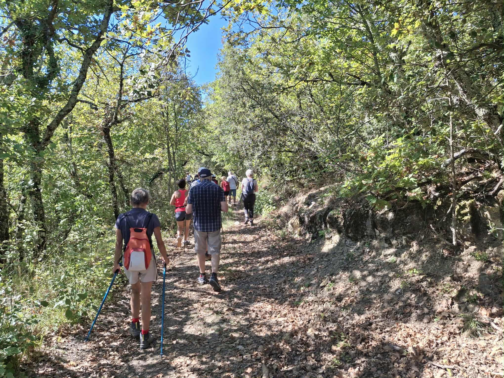 Messenger creation 2a999d1c aae2 4e81 aecb cdb726912dee