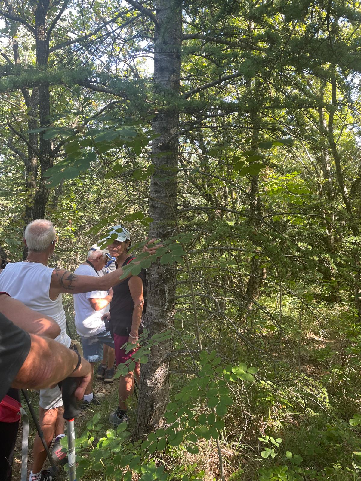 Img 20250918 wa0007 2 