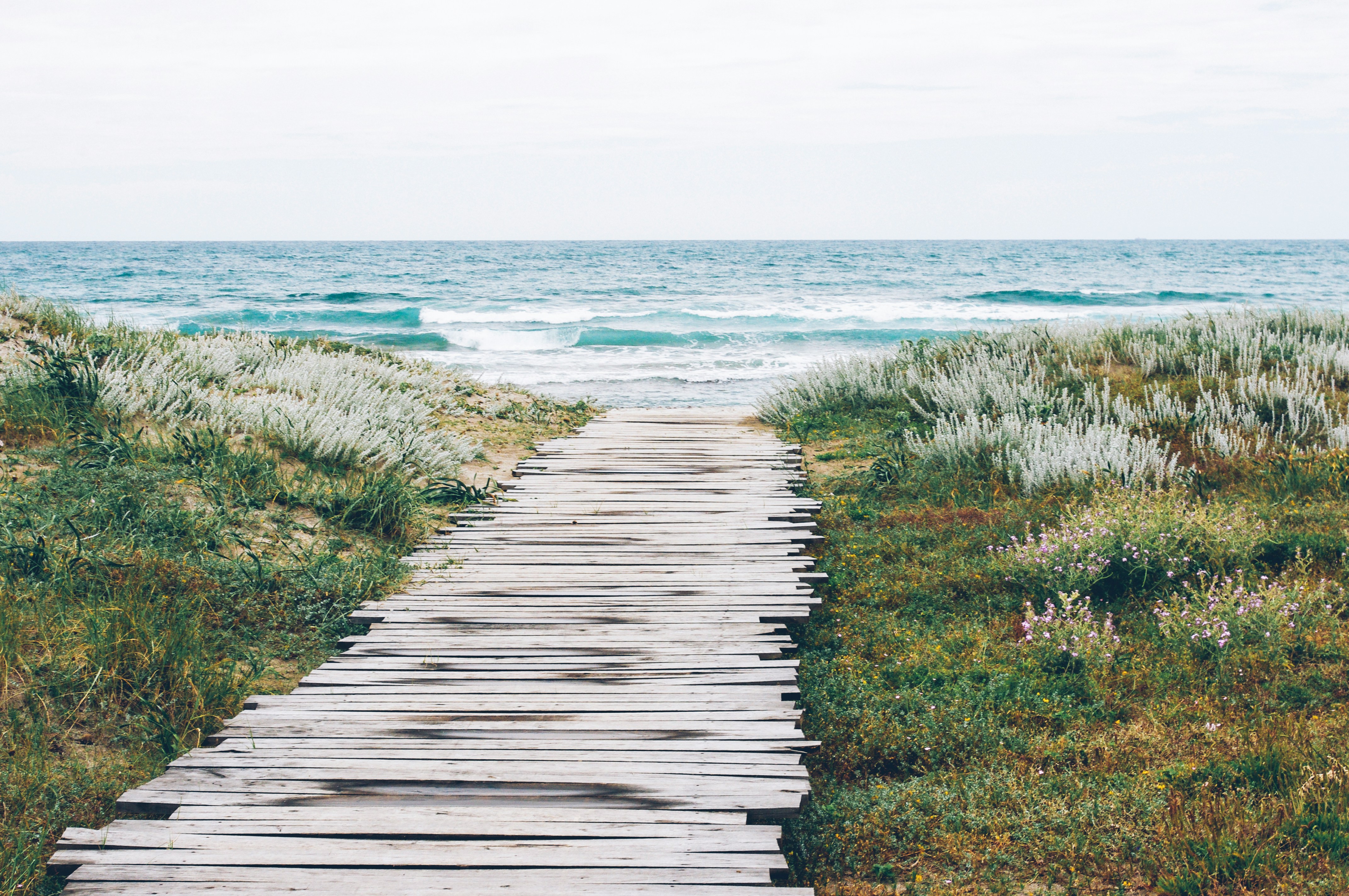 Chemin-vers-l-ocean