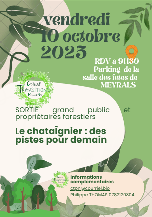 68c682fad41e64e0ab11ca77