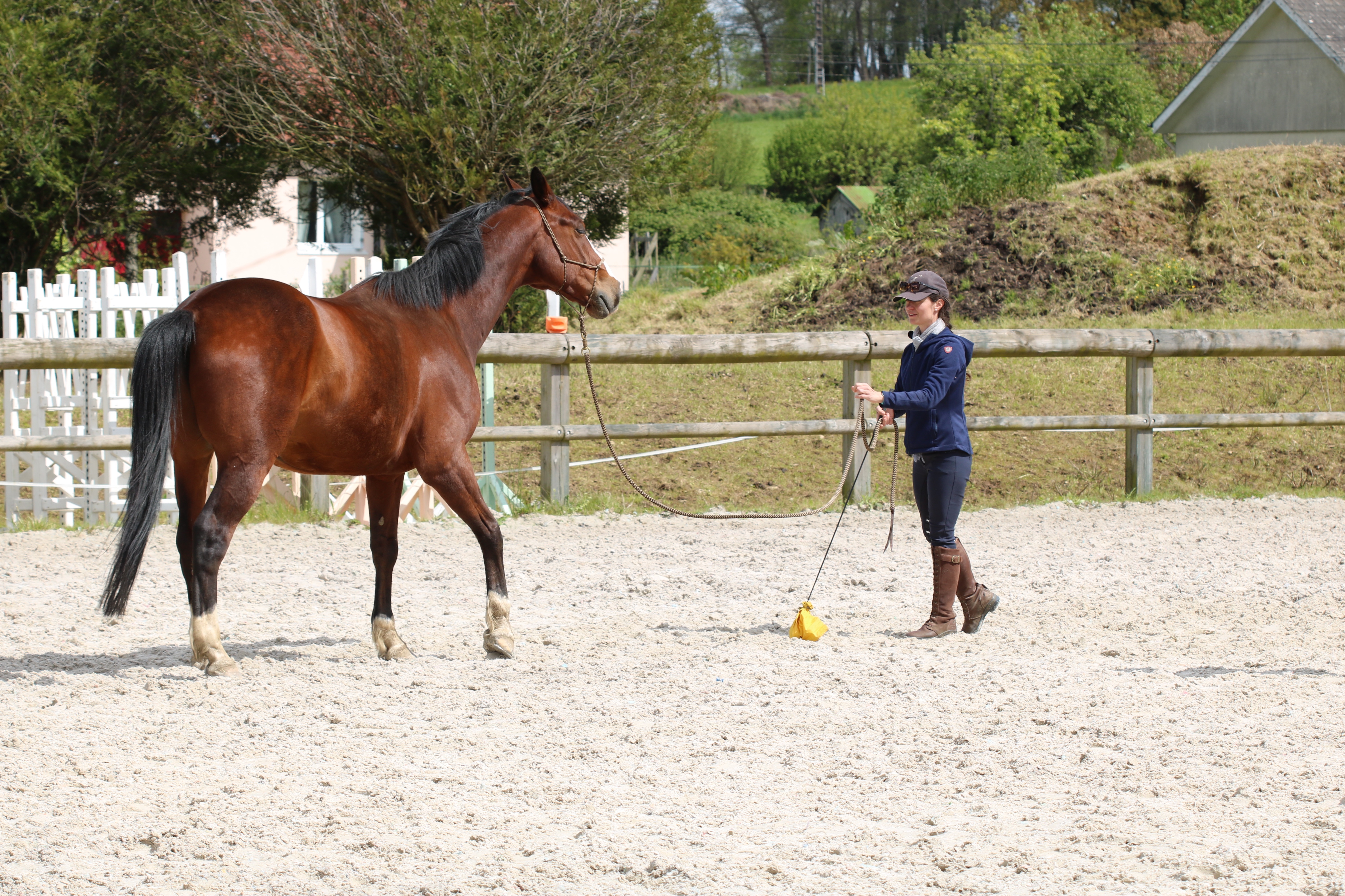 Salon du bien-être animal - 21/09/25