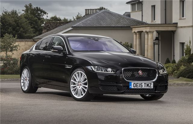 Jaguar xe noire