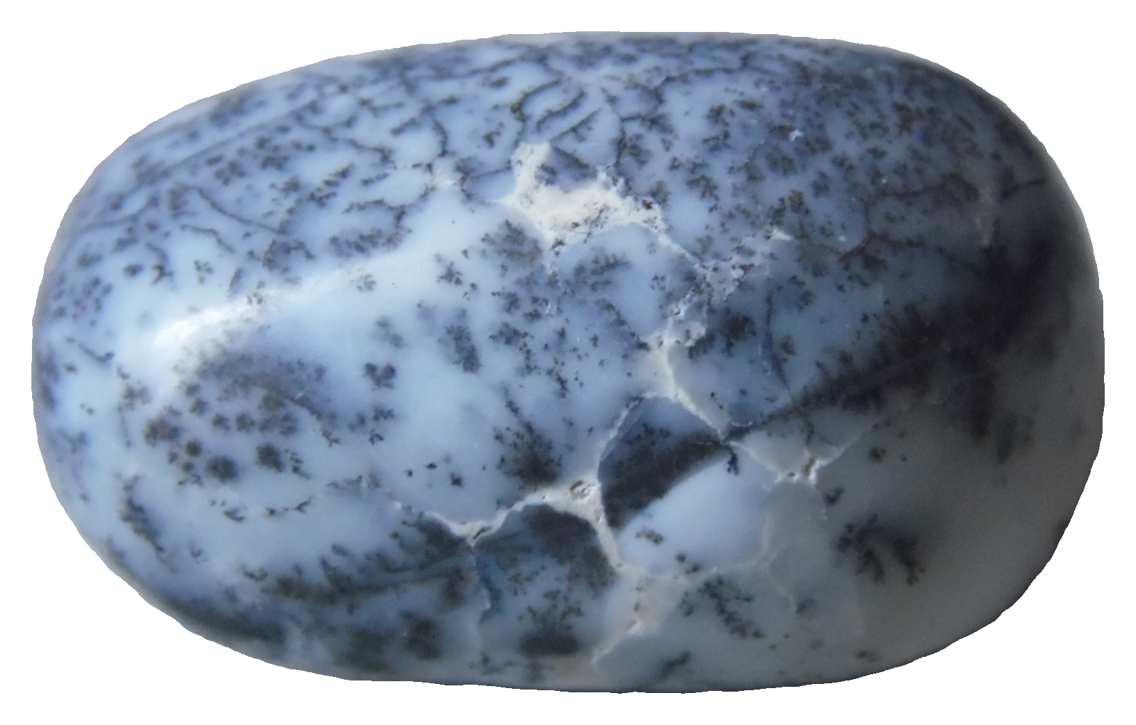 Calcedoine-Denditrique-A-25g-50g-1