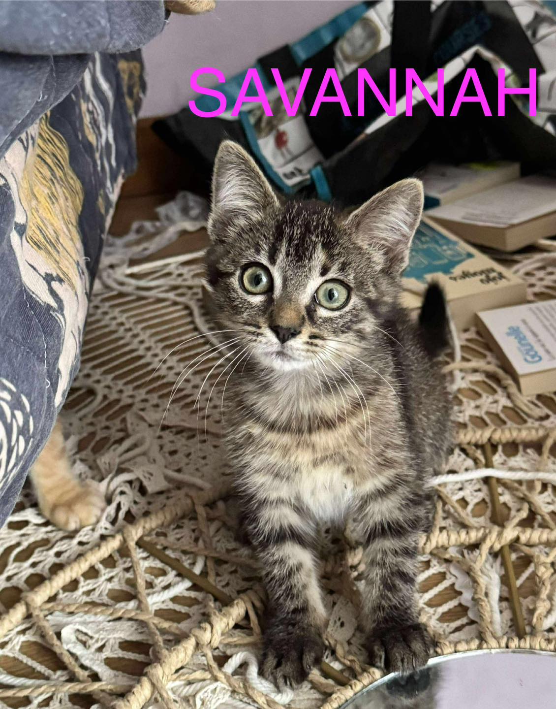Savannah