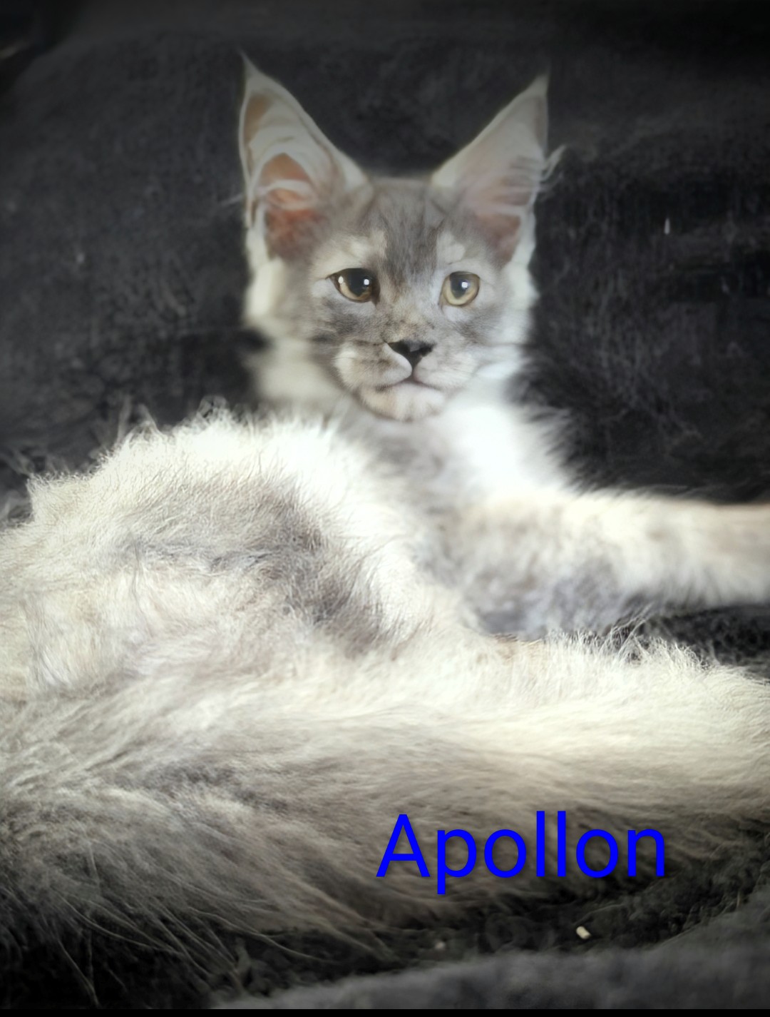 Screenshot 20250922-174741-2