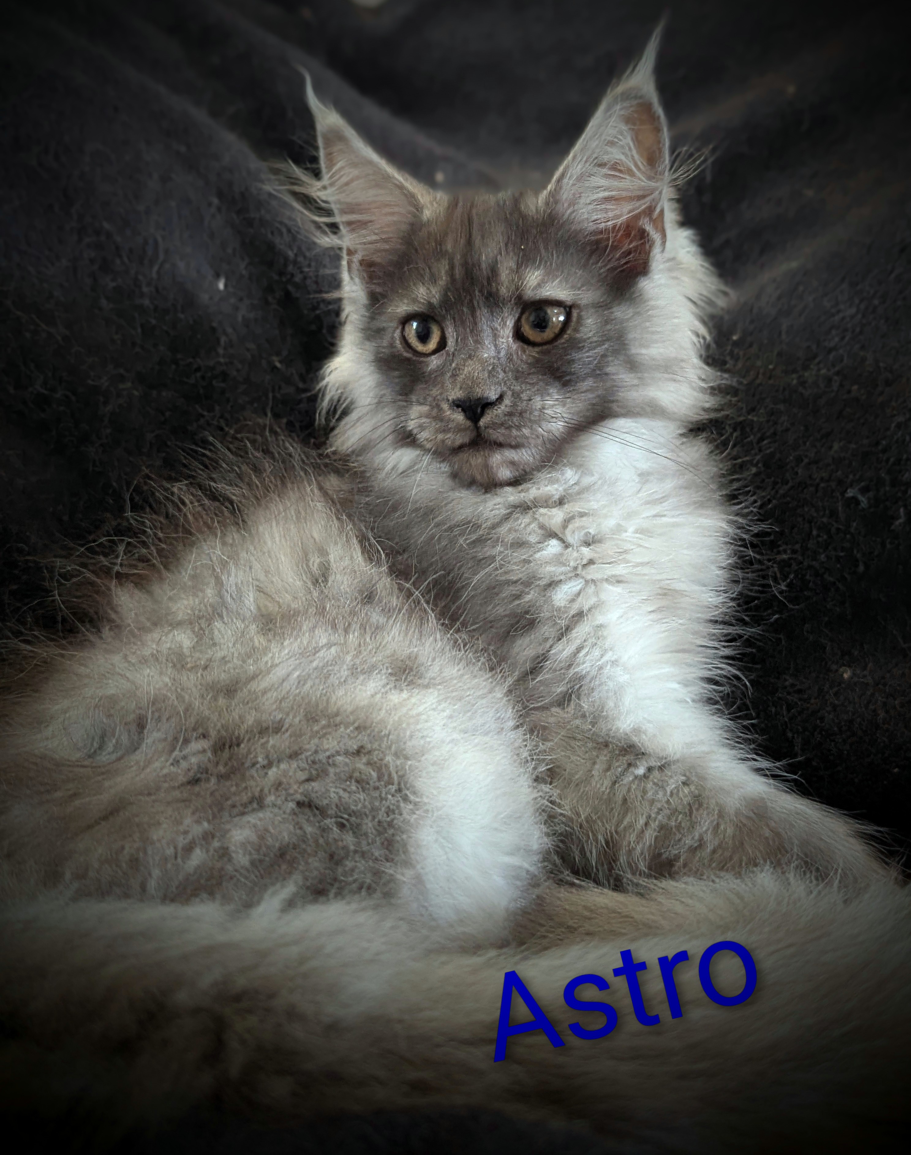 Pxl 20250922 153448784-portrait-2