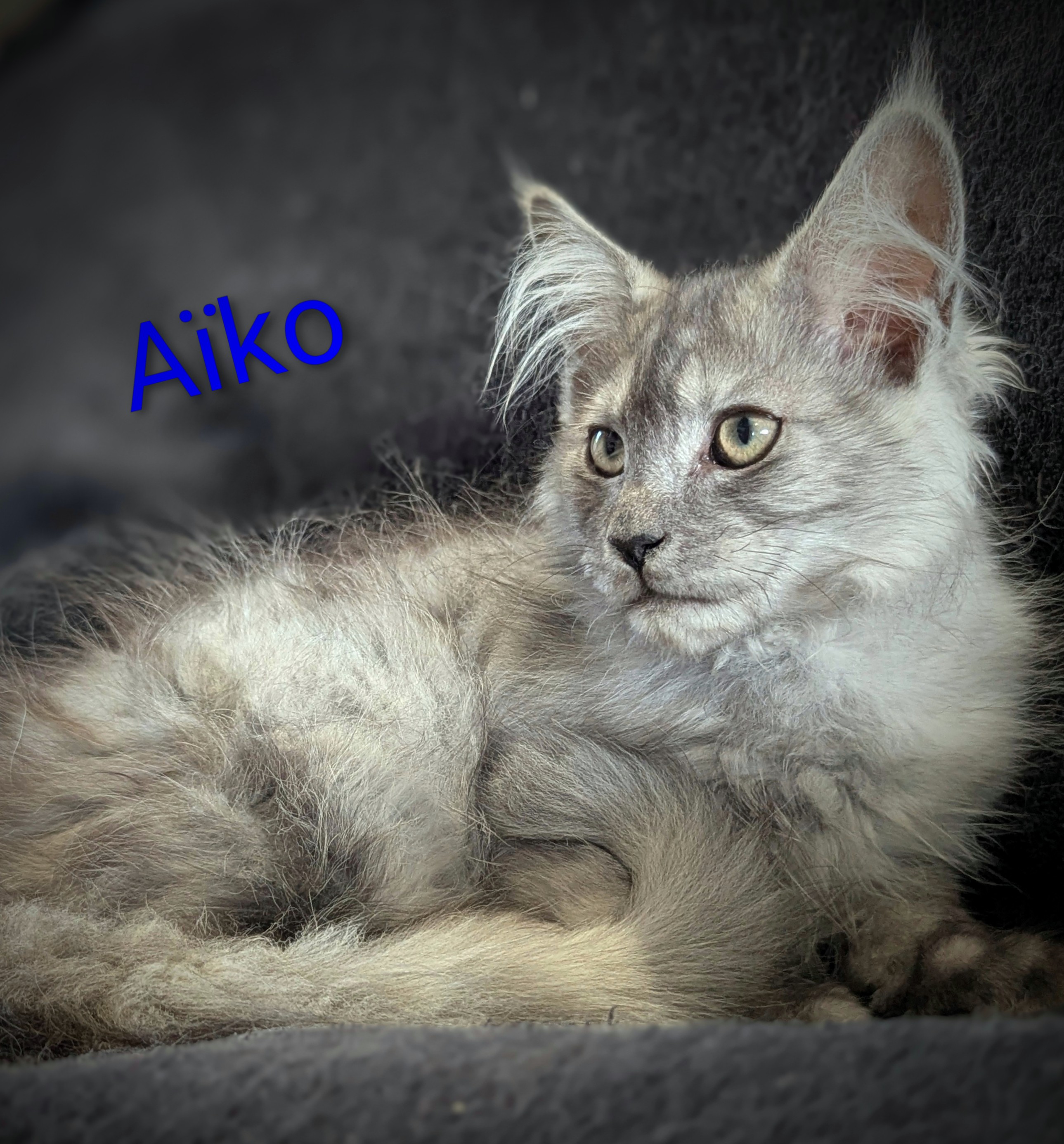 Pxl 20250922 153238437-portrait-2