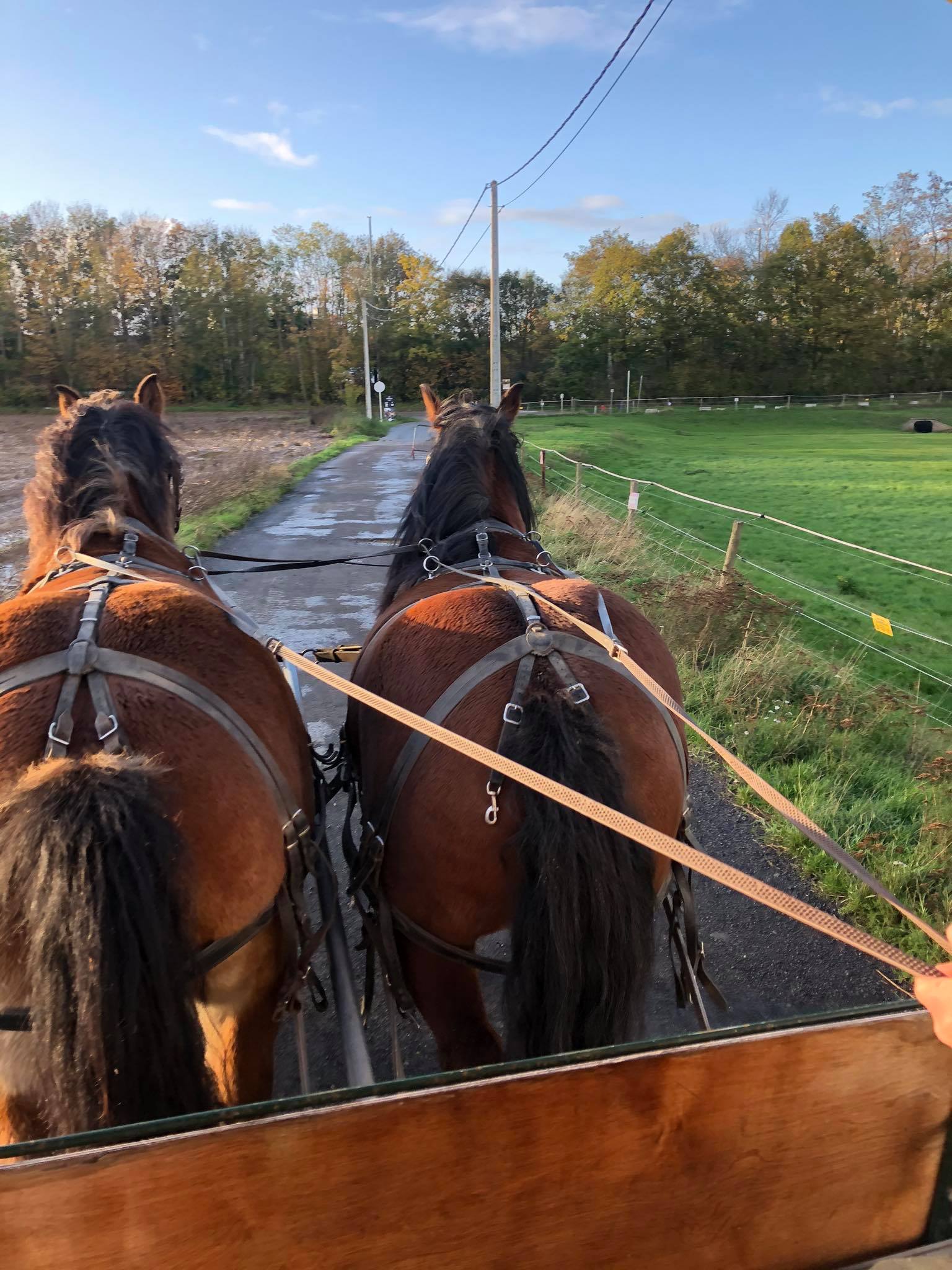 123138042 379322453418503 6646127208589895610 n