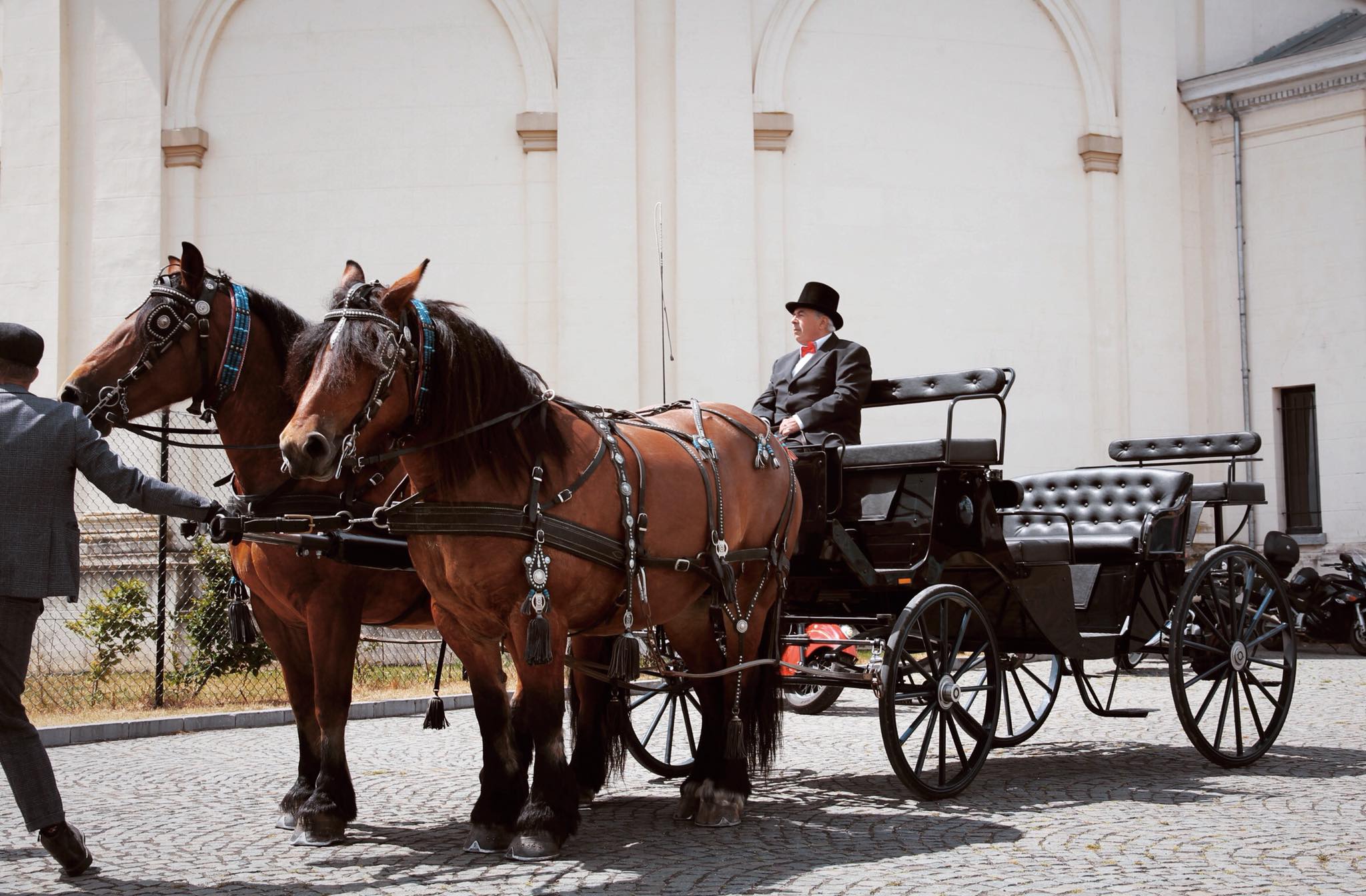 104341071 1136866286674194 2052779298016749320 n