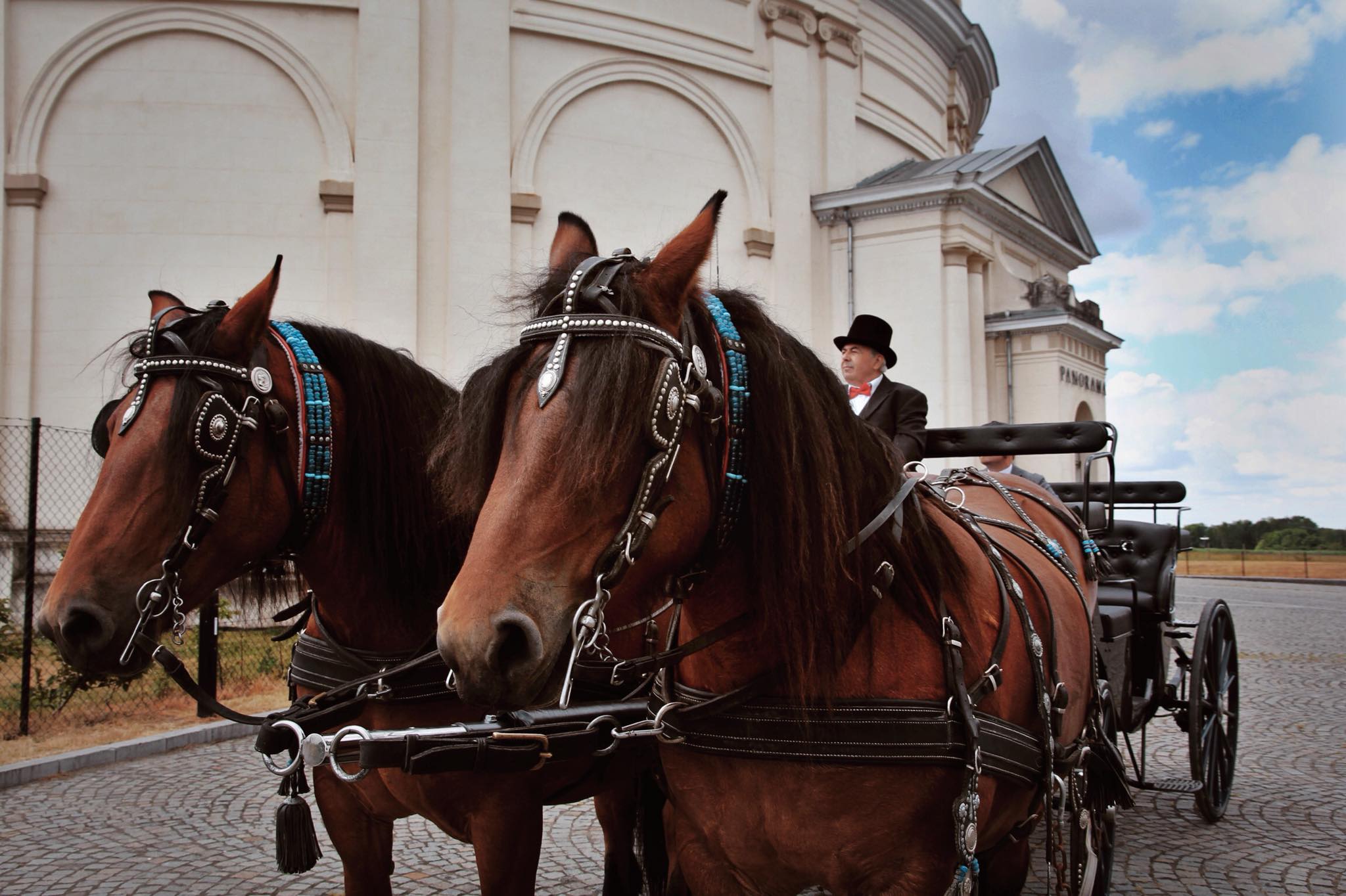 103643325 268046174441029 196256600227860094 n